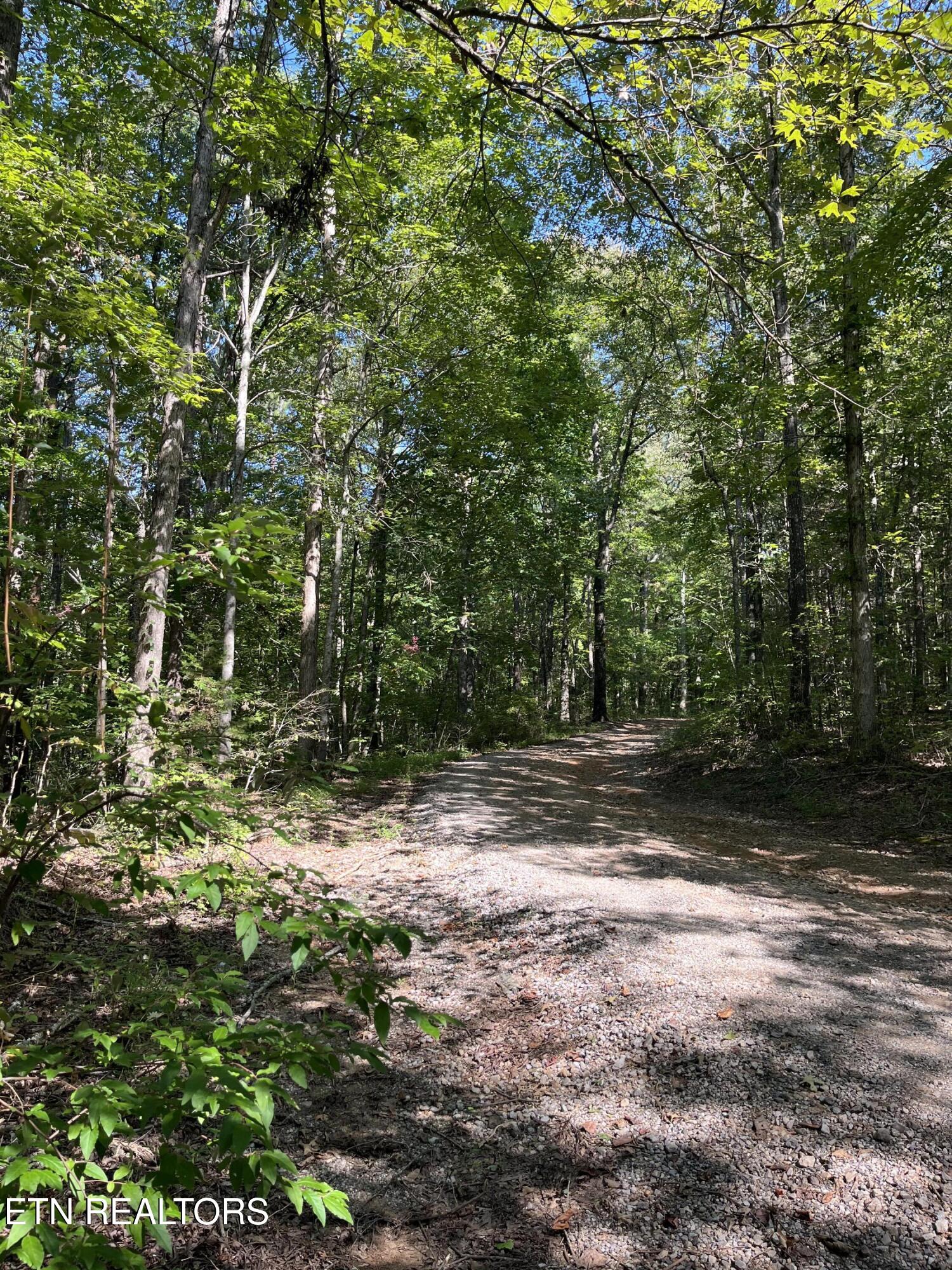 552 New Providence Road Tellico Plains, TN 37385 - Photo 14 of 38 IMG_6854