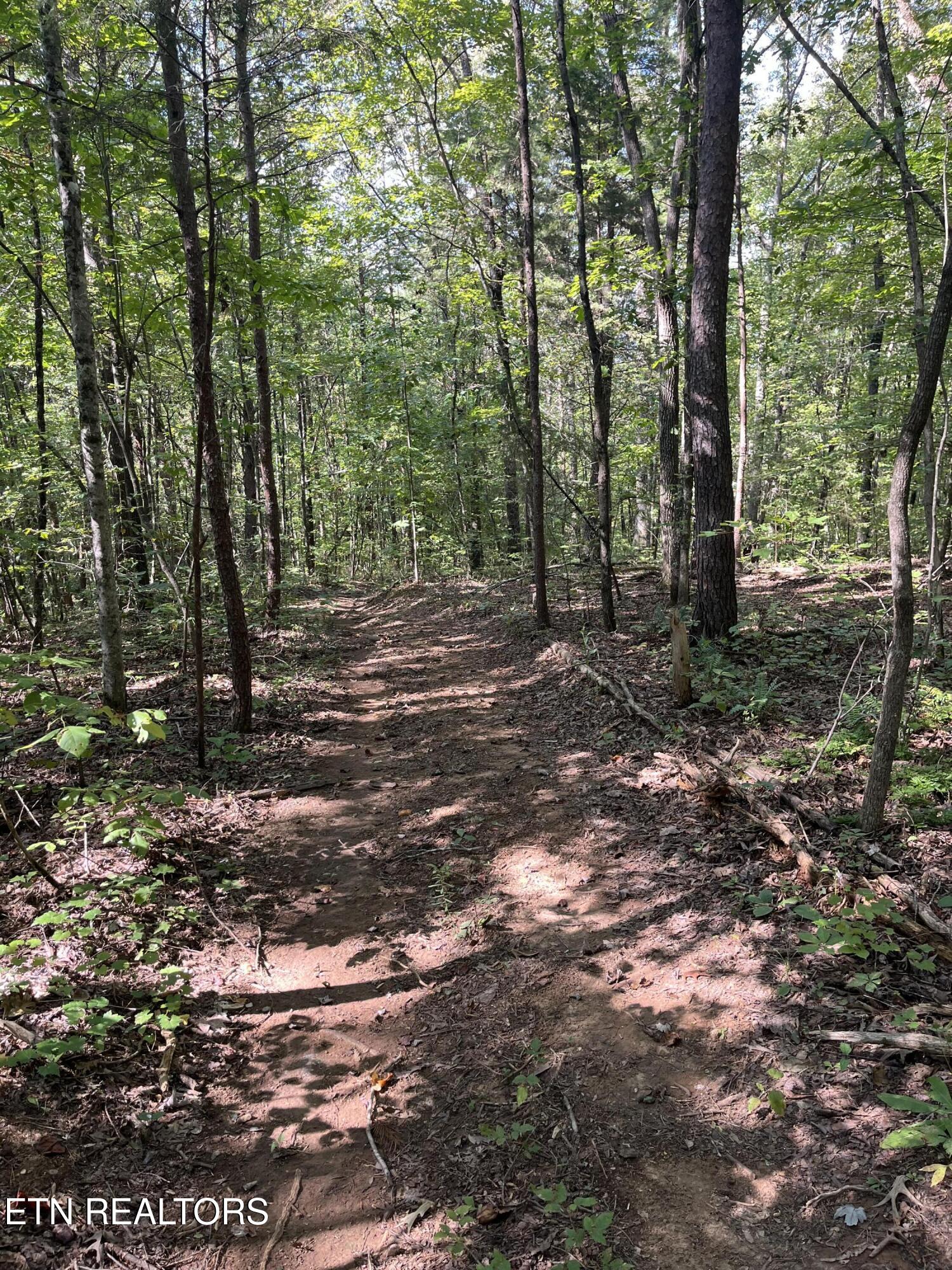 552 New Providence Road Tellico Plains, TN 37385 - Photo 15 of 38 IMG_6856