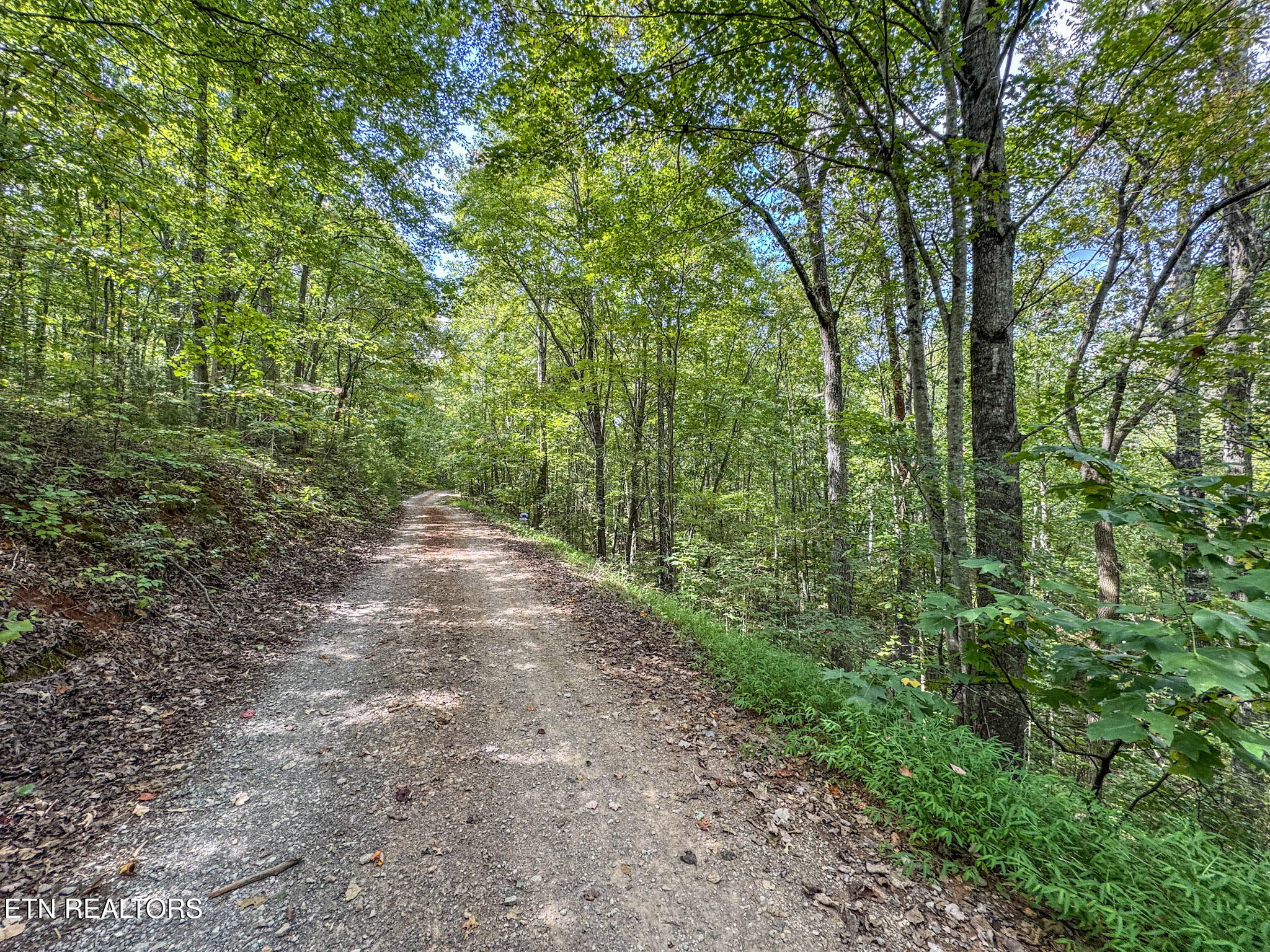 552 New Providence Road Tellico Plains, TN 37385 - Photo 2 of 38 IMG_6985