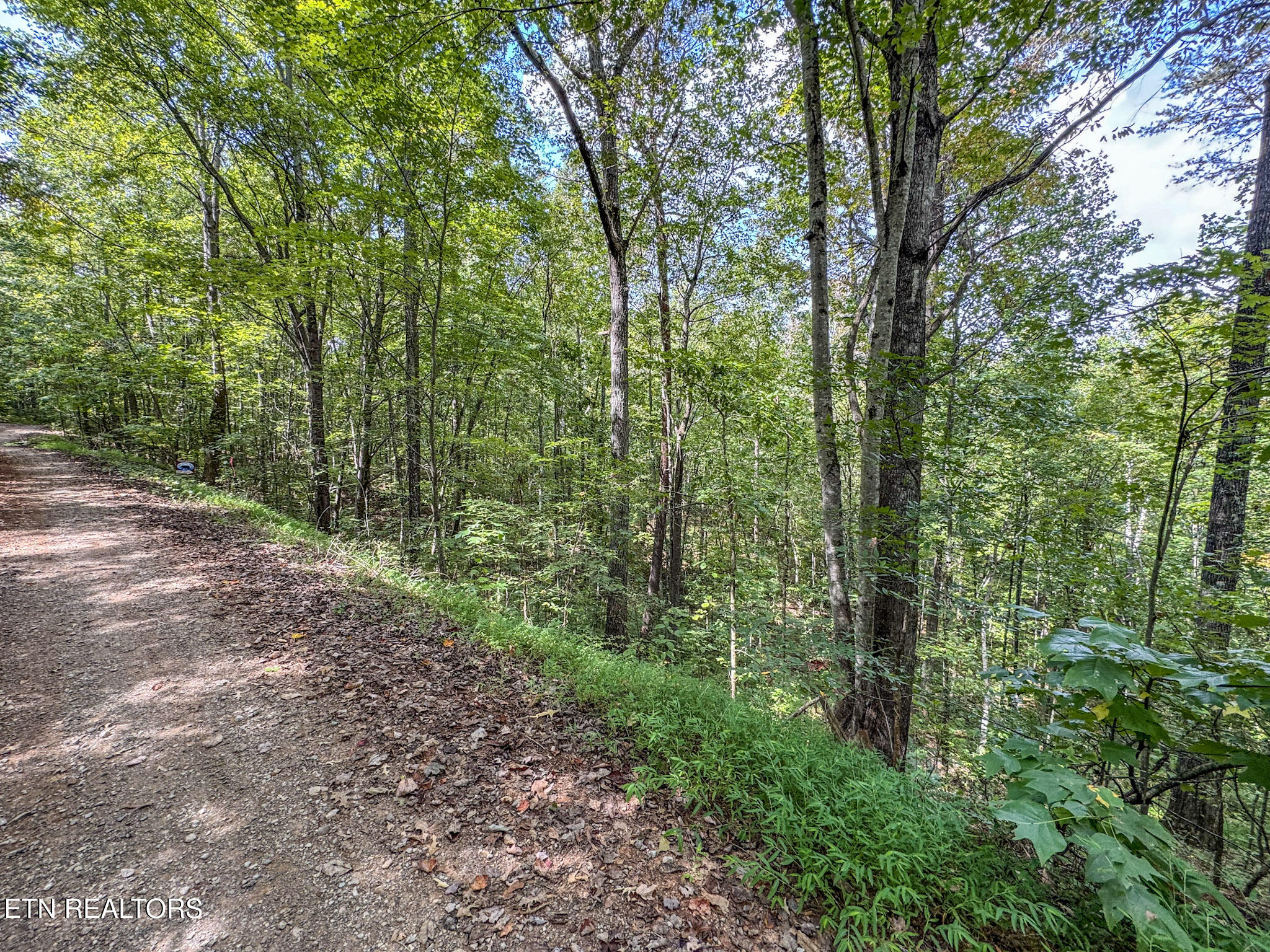 552 New Providence Road Tellico Plains, TN 37385 - Photo 26 of 38 IMG_6992