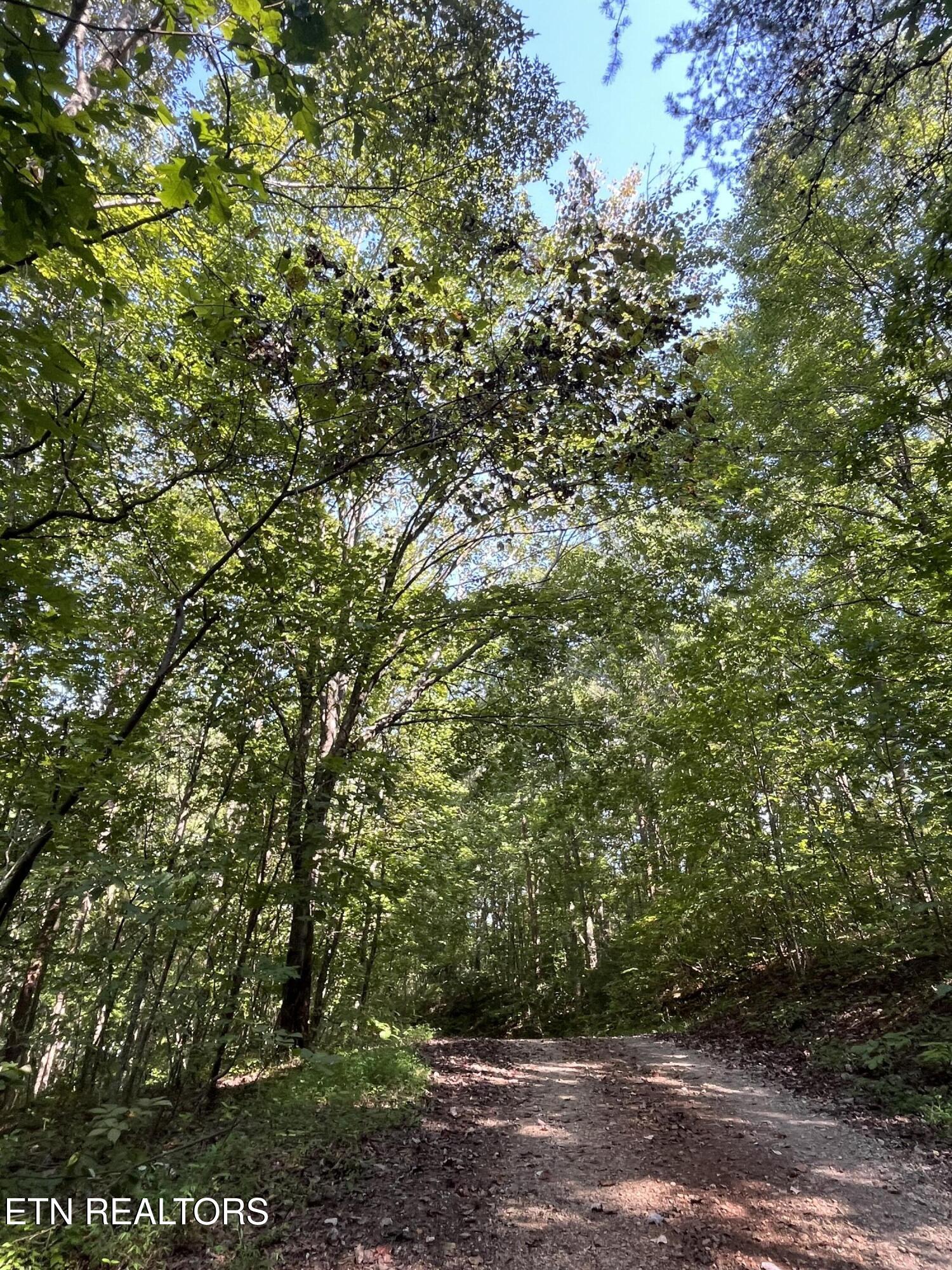 552 New Providence Road Tellico Plains, TN 37385 - Photo 28 of 38 IMG_6879