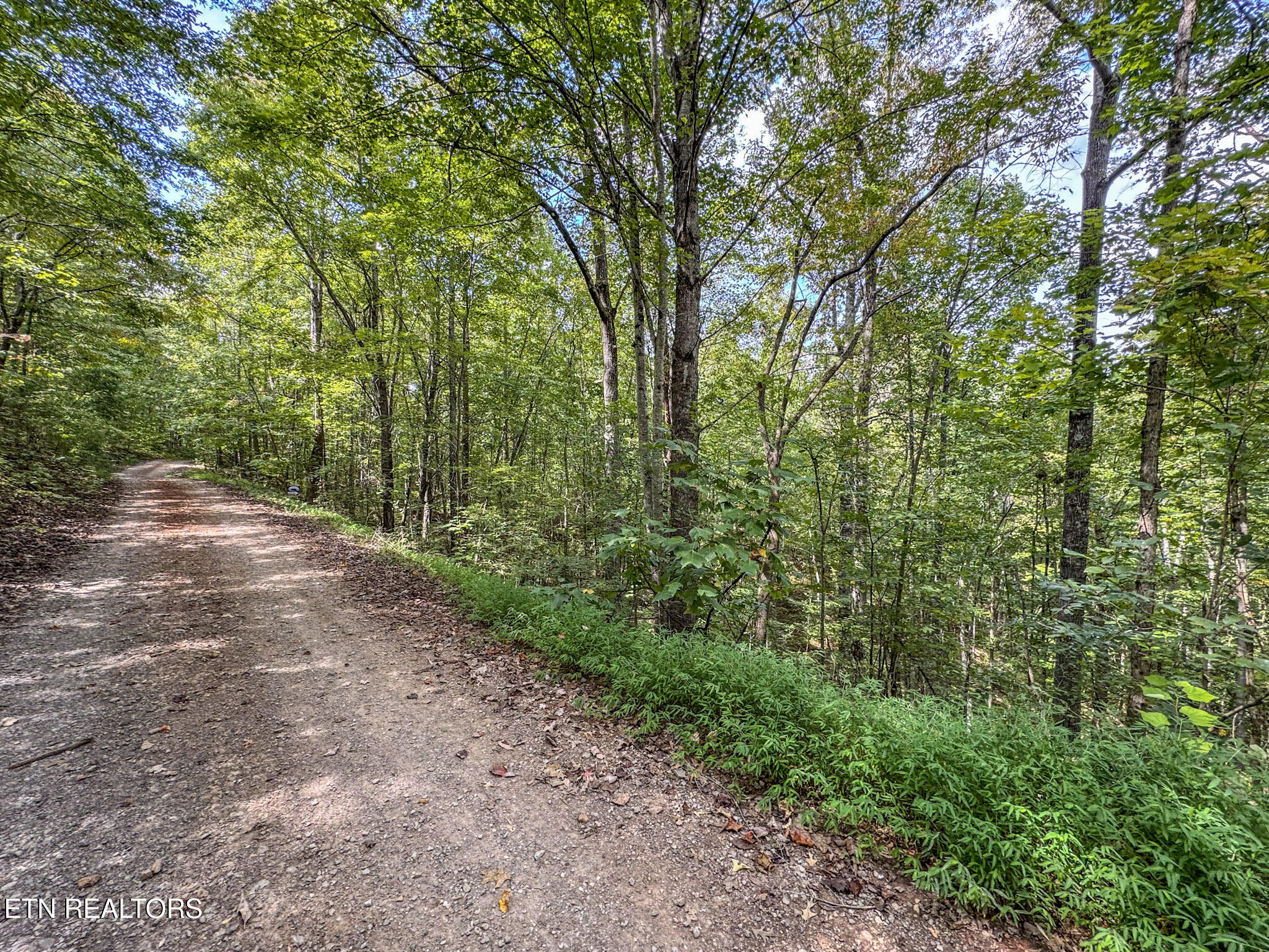 552 New Providence Road Tellico Plains, TN 37385 - Photo 29 of 38 IMG_6995