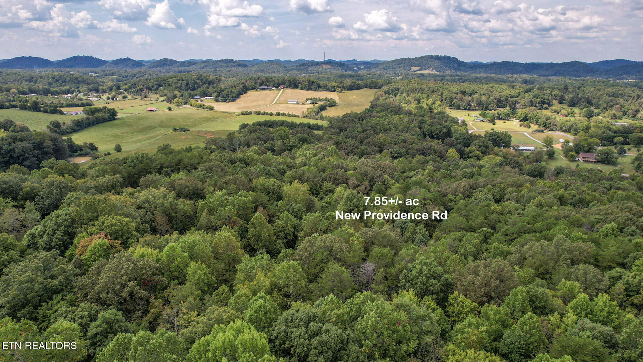 552 New Providence Road Tellico Plains, TN 37385 - Photo 31 of 38 IMG_6991