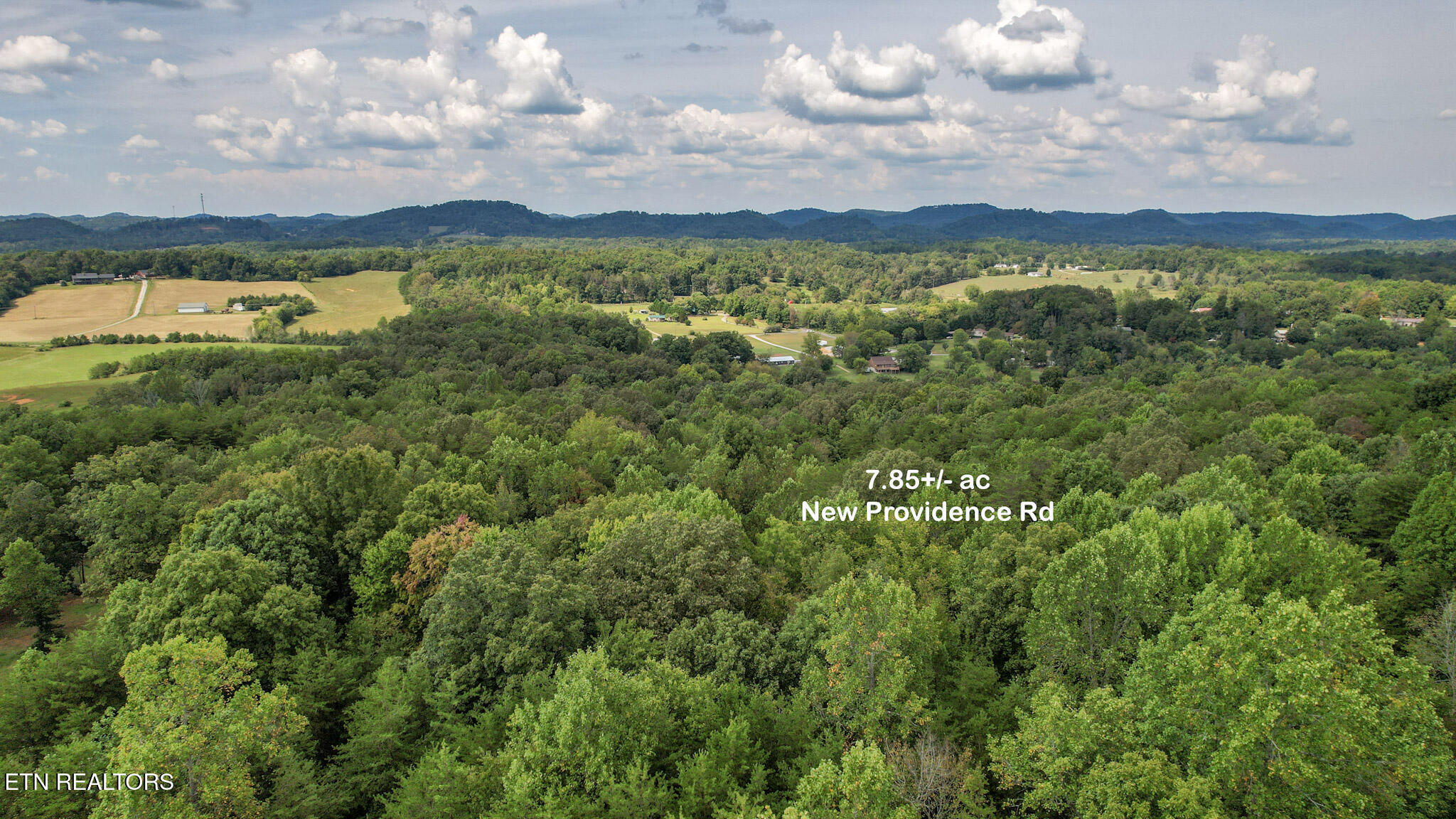 552 New Providence Road Tellico Plains, TN 37385 - Photo 32 of 38 IMG_6990