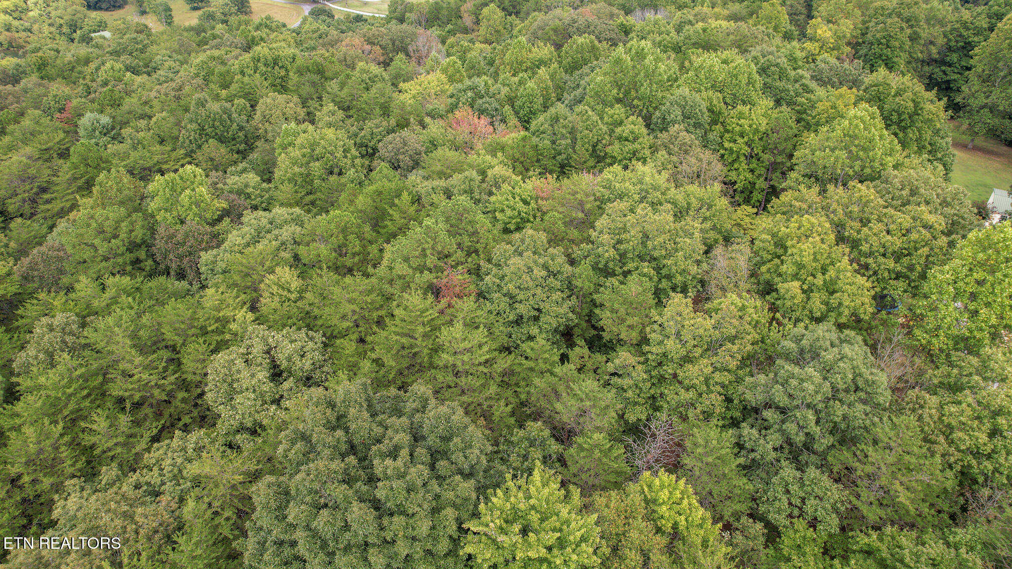 552 New Providence Road Tellico Plains, TN 37385 - Photo 35 of 38 IMG_6986