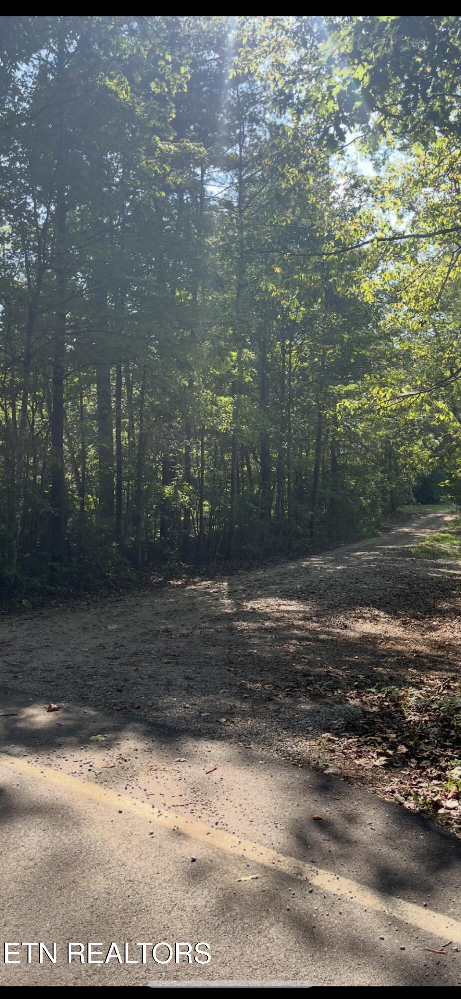 552 New Providence Road Tellico Plains, TN 37385 - Photo 37 of 38 IMG_6933