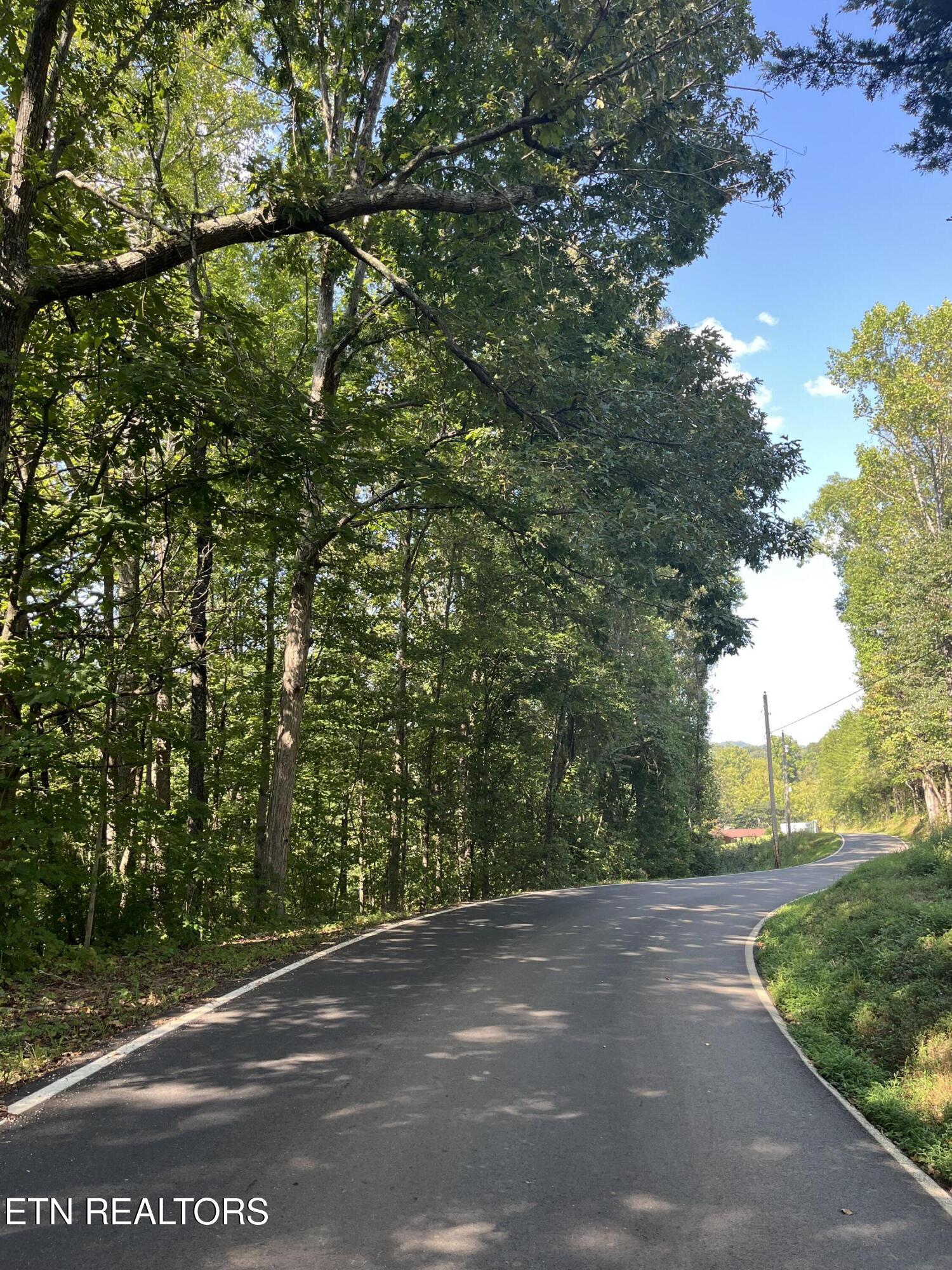 552 New Providence Road Tellico Plains, TN 37385 - Photo 38 of 38 IMG_6891