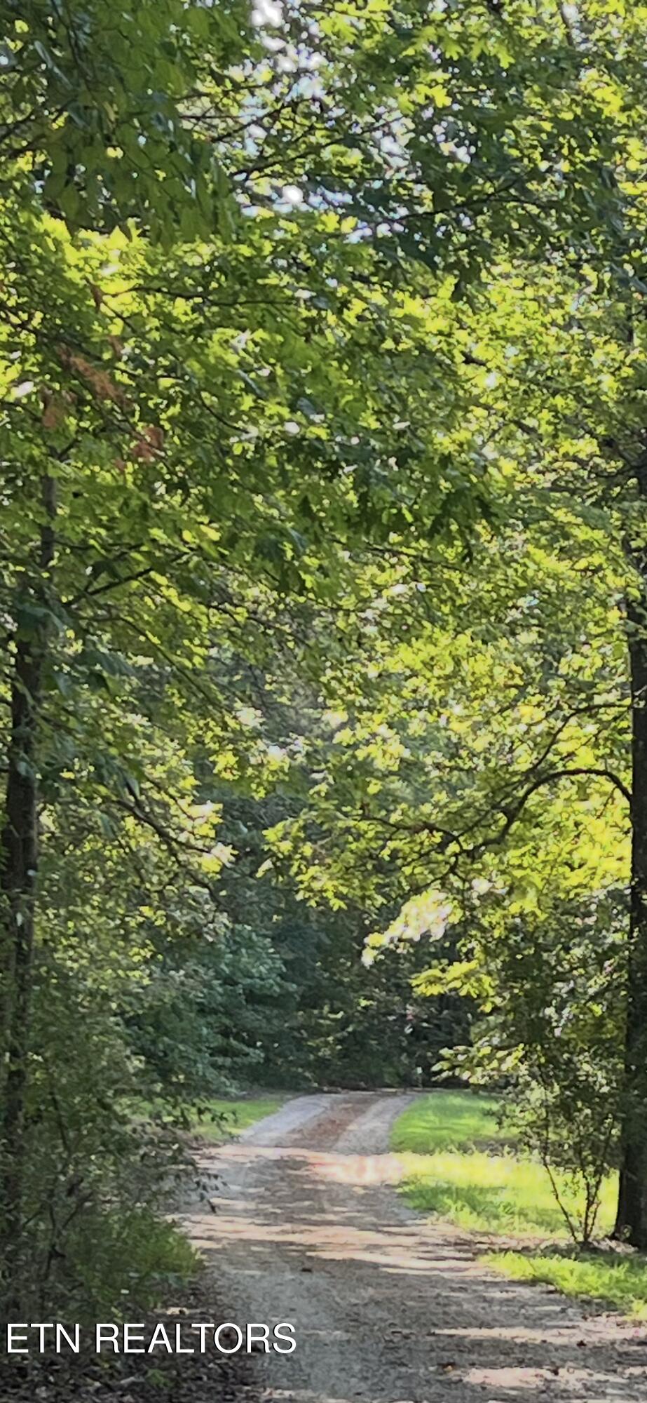 552 New Providence Road Tellico Plains, TN 37385 - Photo 5 of 38 IMG_6929