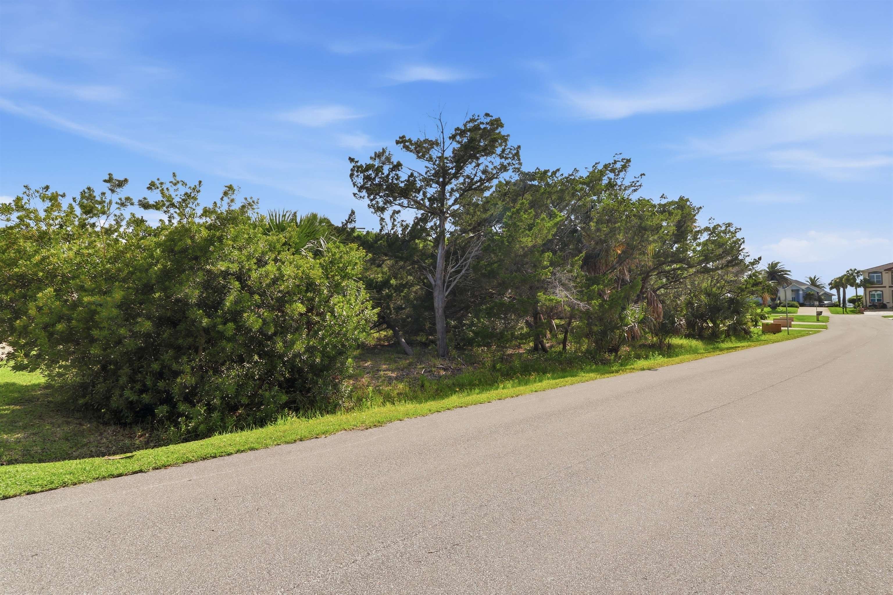 203 Sea Turtle Way St. Augustine, FL 32084 - Photo 8 of 22 a view of a road with a building in the background