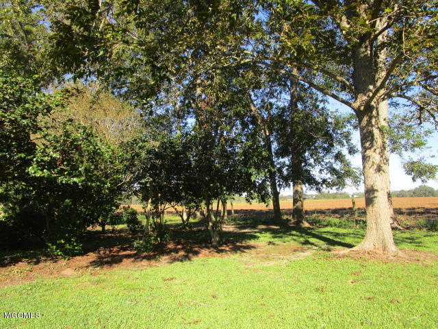 25001 State Line Road Lucedale, MS 39452 - Photo 35 of 49 State Line 10-23 044