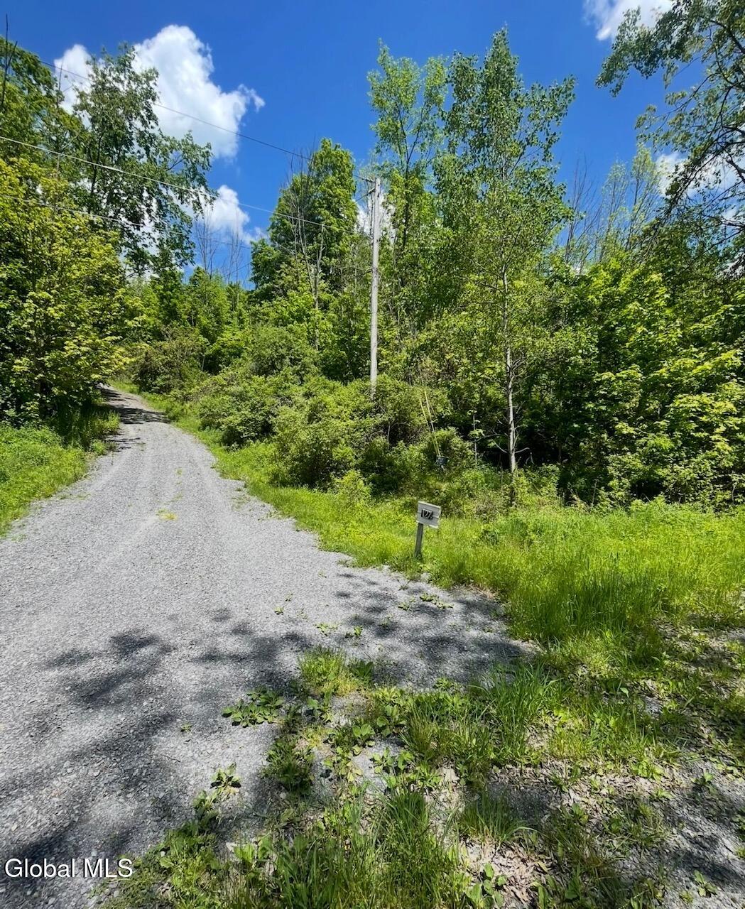 127 Grassy Road Blenheim, NY 12131 - Photo 4 of 44 3.1