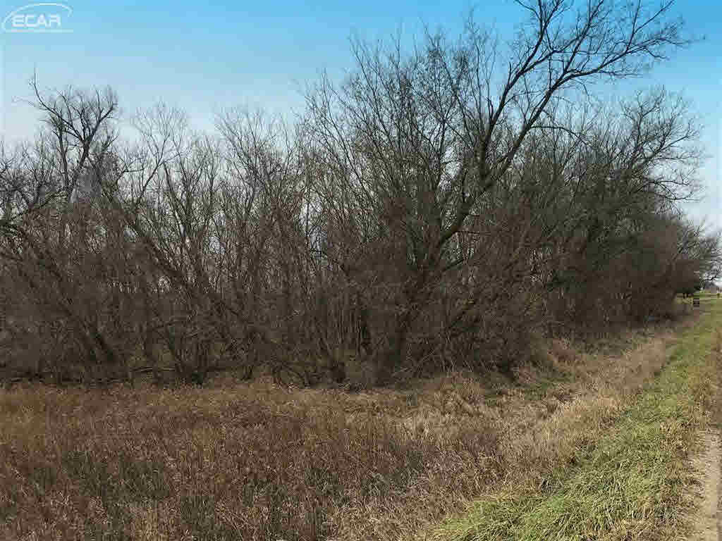 0 East Bennington Road Owosso, MI 48867 - Photo 4 of 5