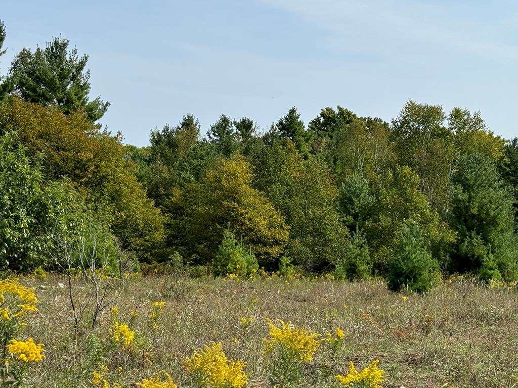 Lot 3 Division Road Egg Harbor, WI 54209 - Photo 8 of 11