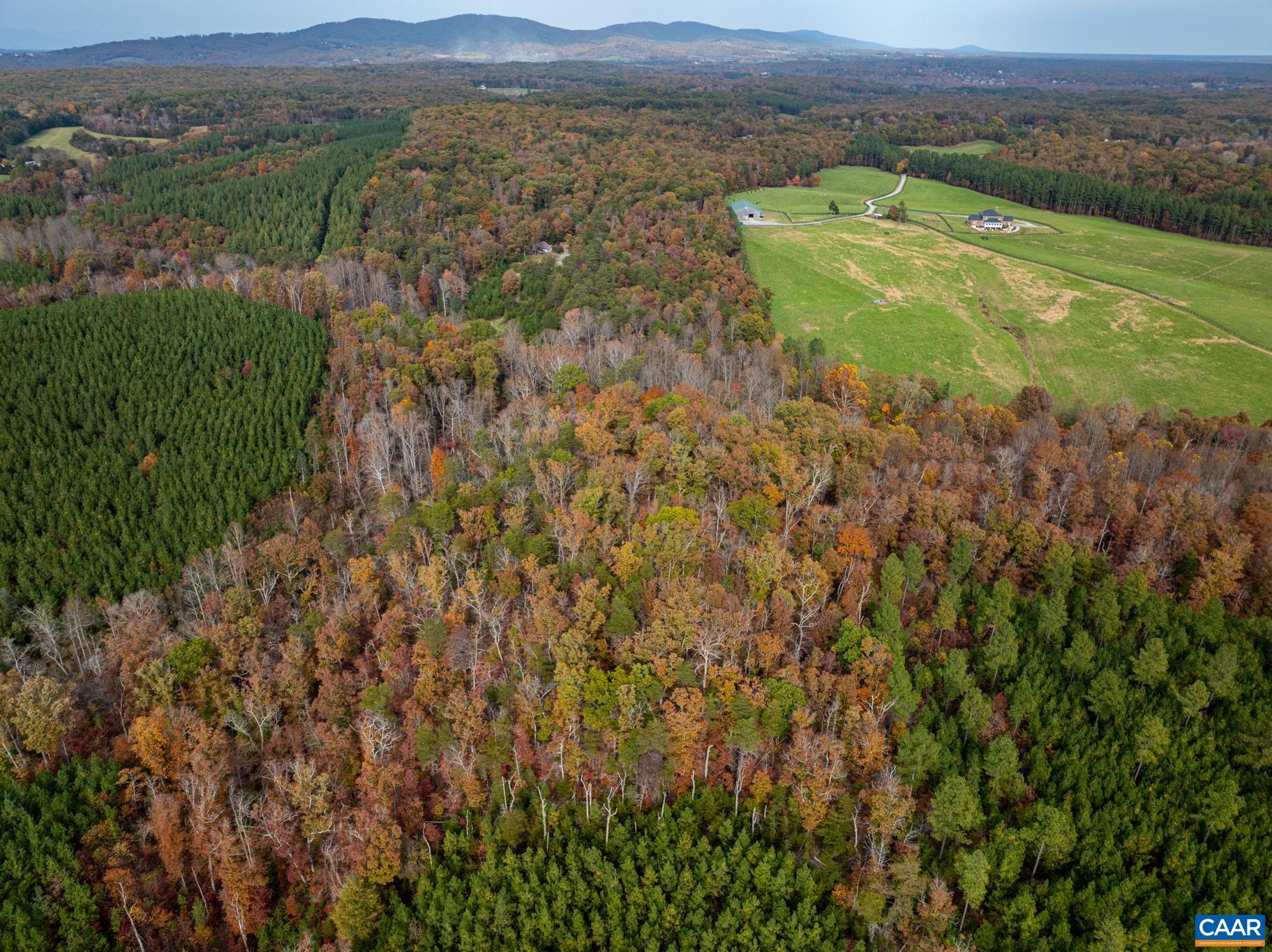 2395 Mountain Brook Drive Charlottesville, VA 22902 - Photo 54 of 62