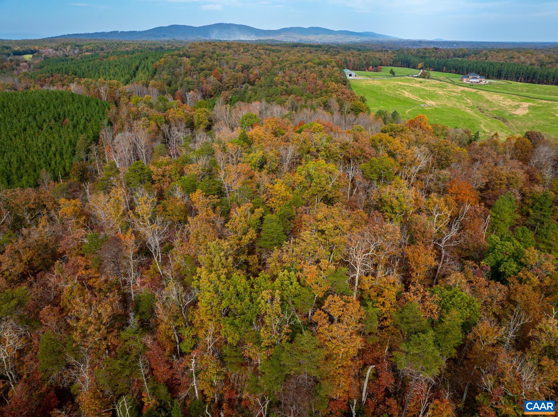 2395 Mountain Brook Drive Charlottesville, VA 22902 - Photo 56 of 62