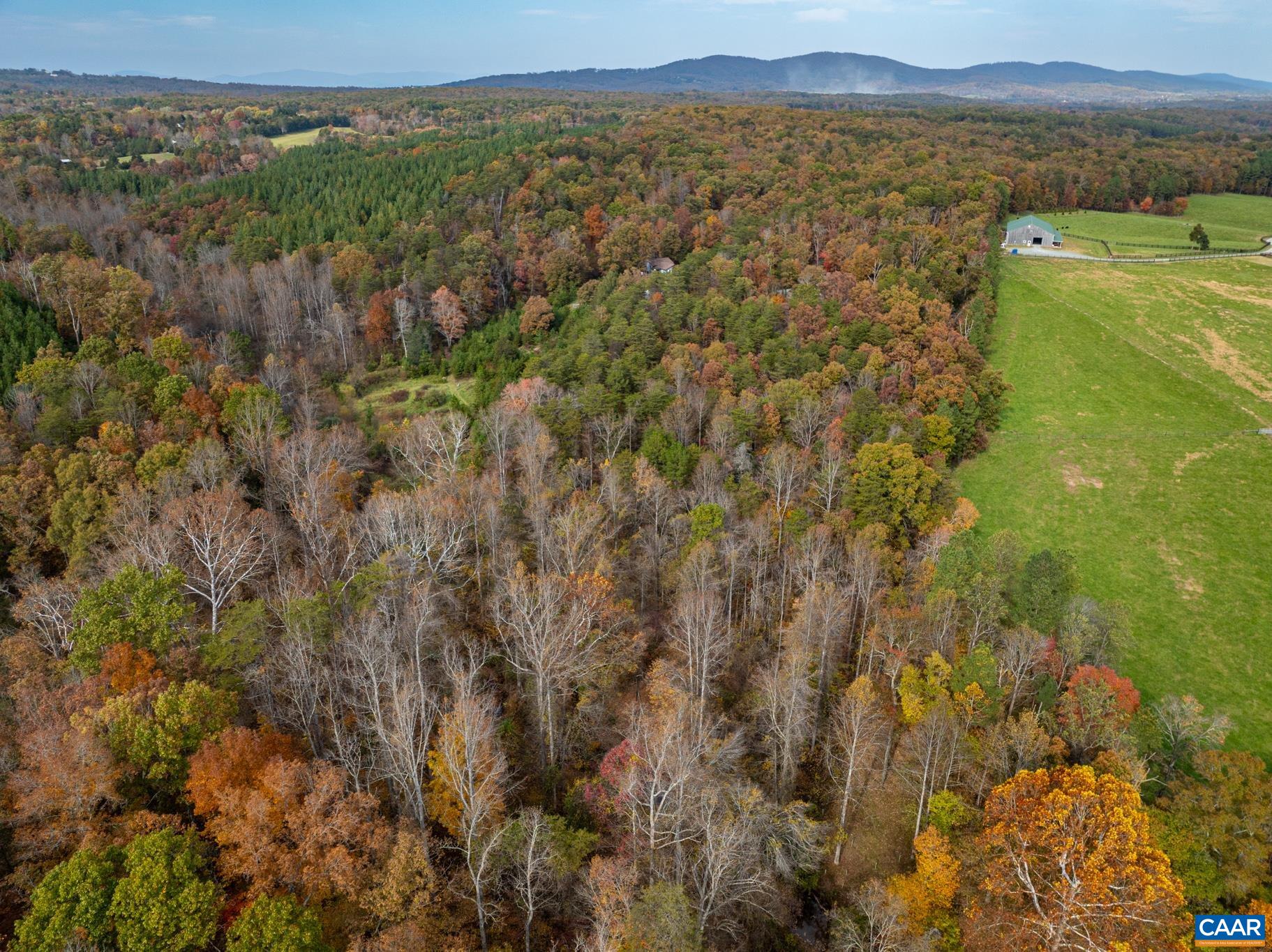 2395 Mountain Brook Drive Charlottesville, VA 22902 - Photo 57 of 62