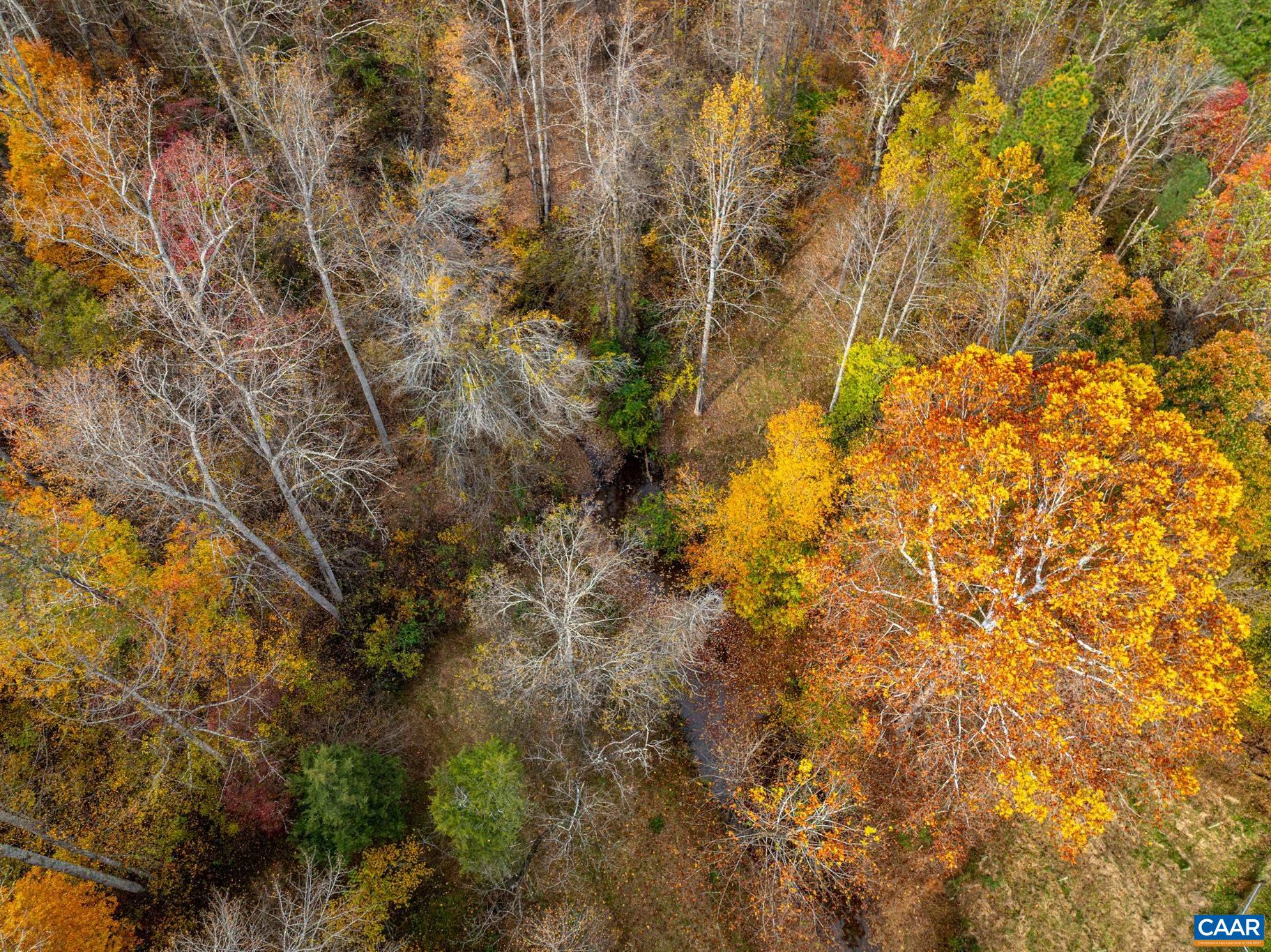 2395 Mountain Brook Drive Charlottesville, VA 22902 - Photo 58 of 62