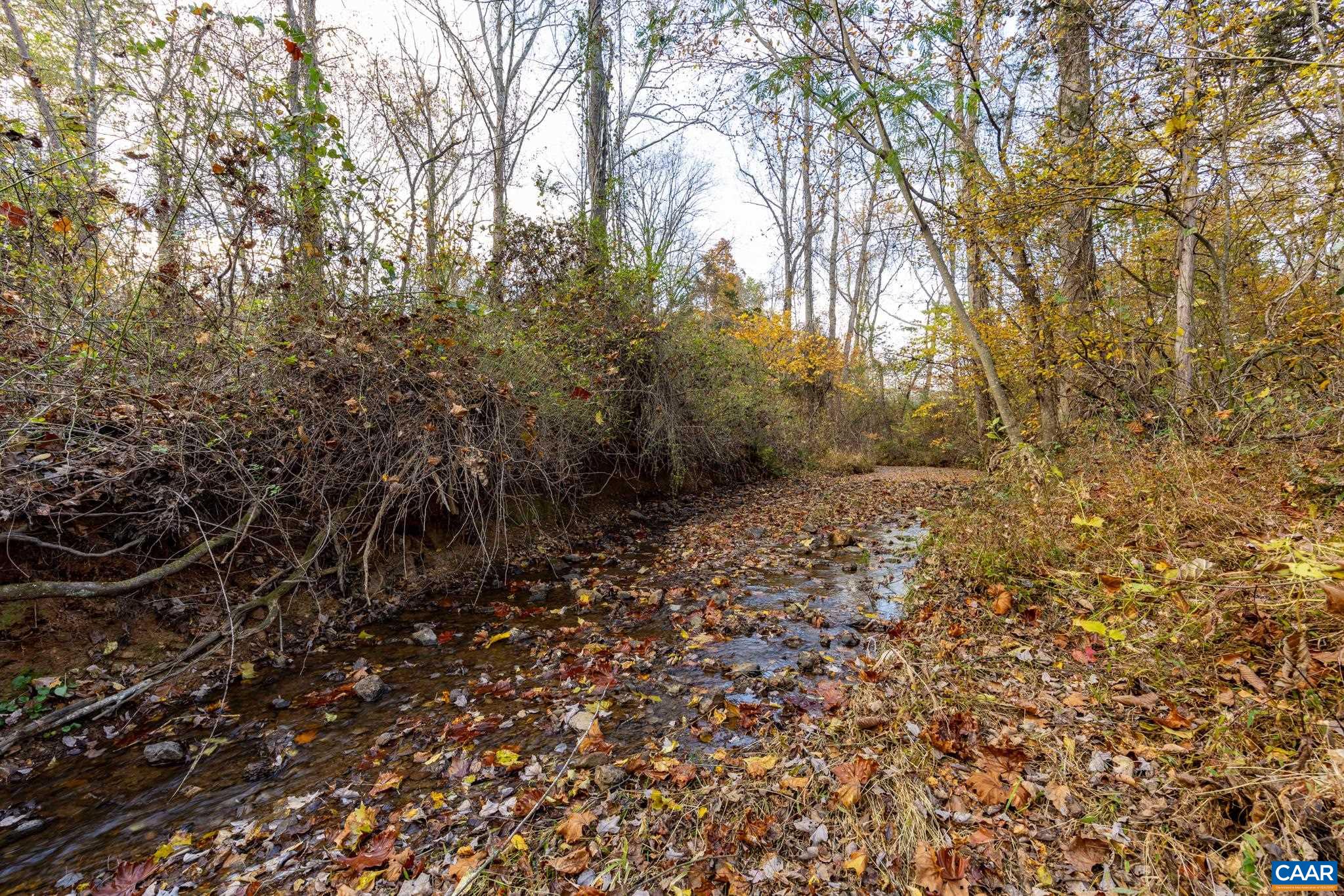 2395 Mountain Brook Drive Charlottesville, VA 22902 - Photo 59 of 62