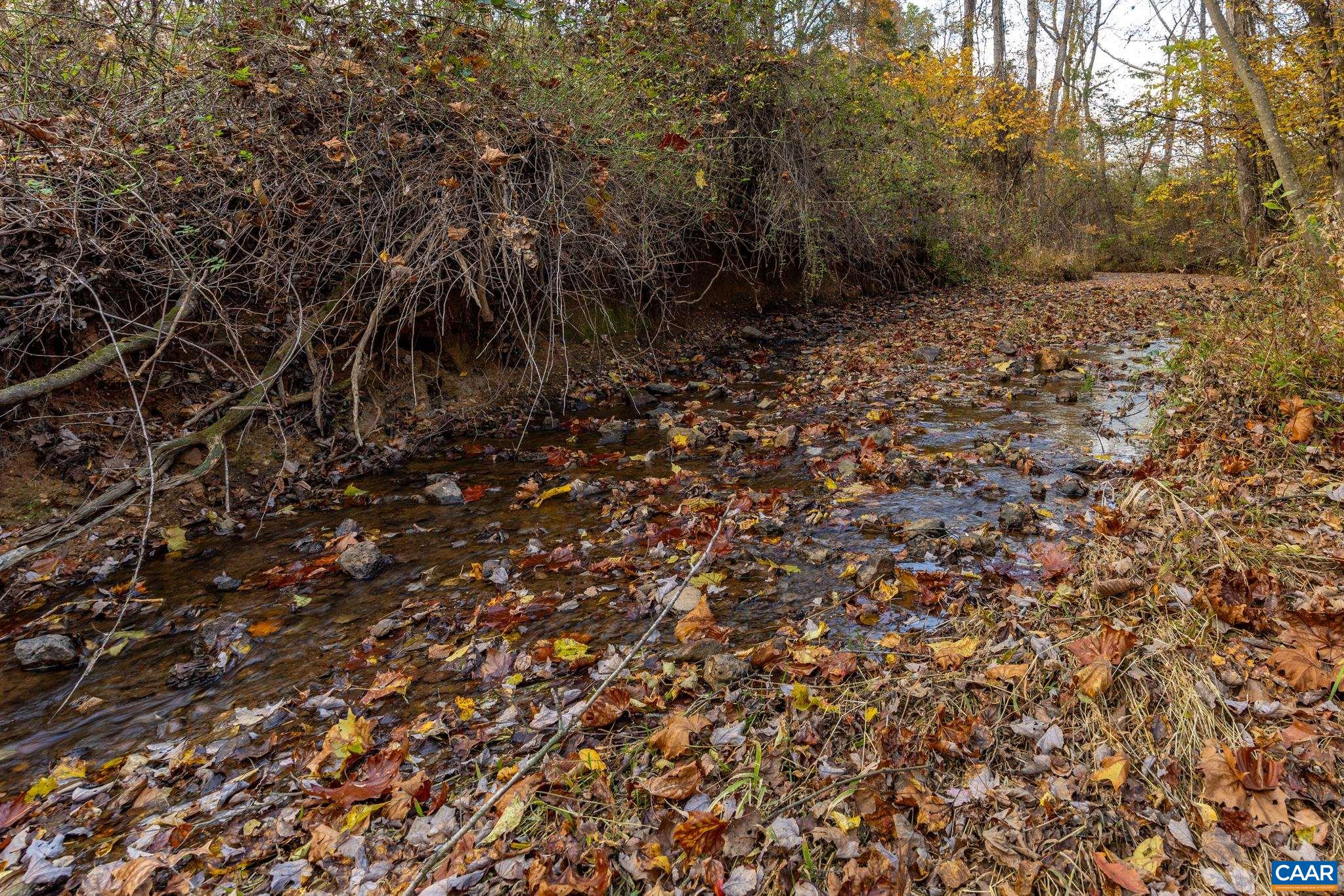 2395 Mountain Brook Drive Charlottesville, VA 22902 - Photo 60 of 62