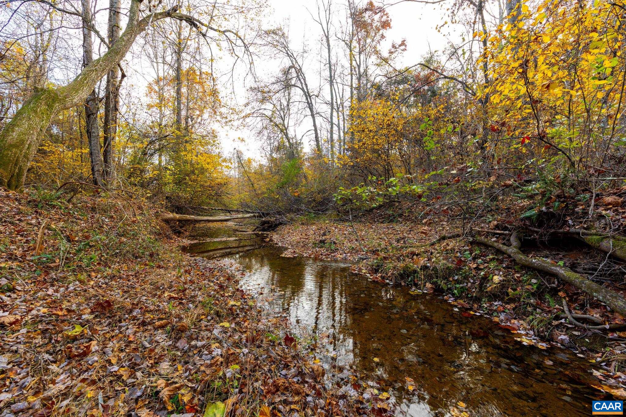 2395 Mountain Brook Drive Charlottesville, VA 22902 - Photo 61 of 62