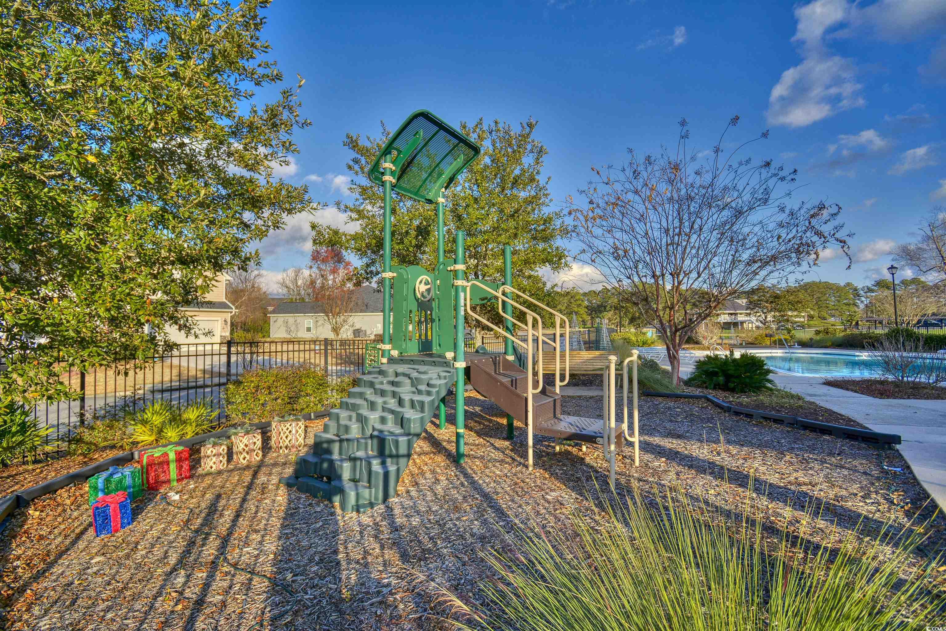 293 Ridge Point Drive Conway, SC 29526 - Photo 35 of 36 View of jungle gym