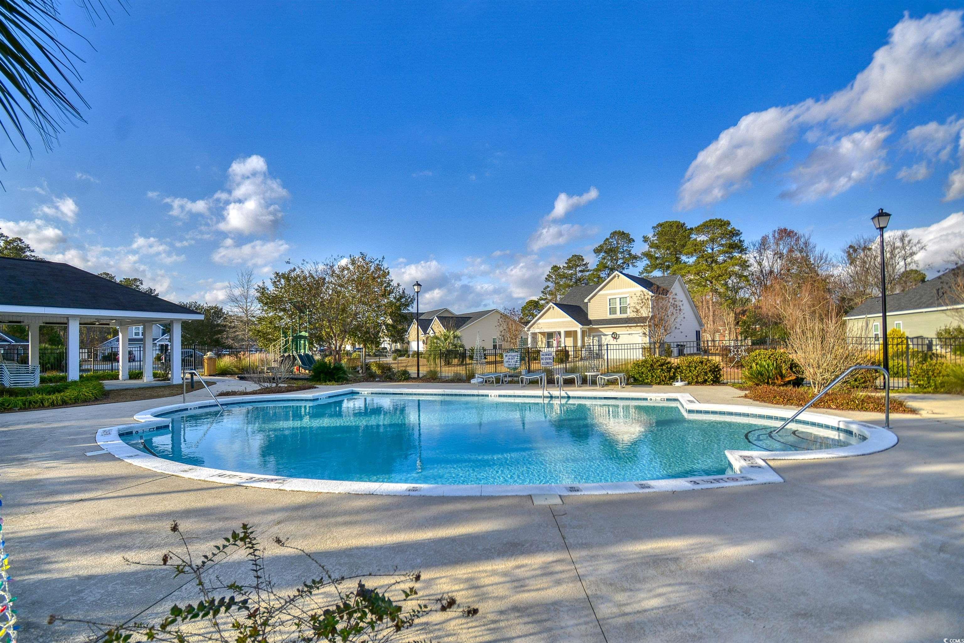 293 Ridge Point Drive Conway, SC 29526 - Photo 6 of 36 View of swimming pool with a patio area