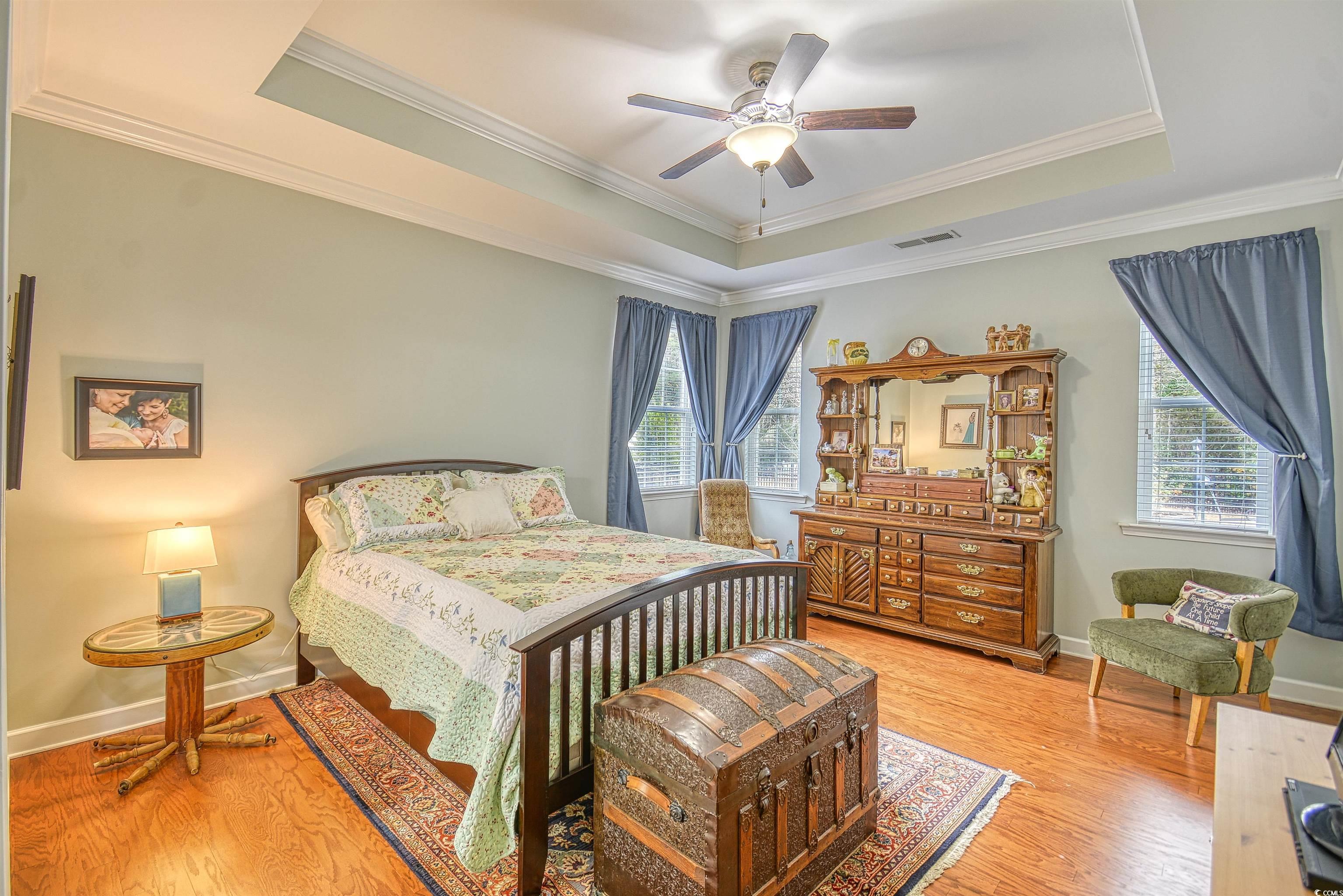 293 Ridge Point Drive Conway, SC 29526 - Photo 8 of 36 Bedroom featuring multiple windows, a tray ceiling