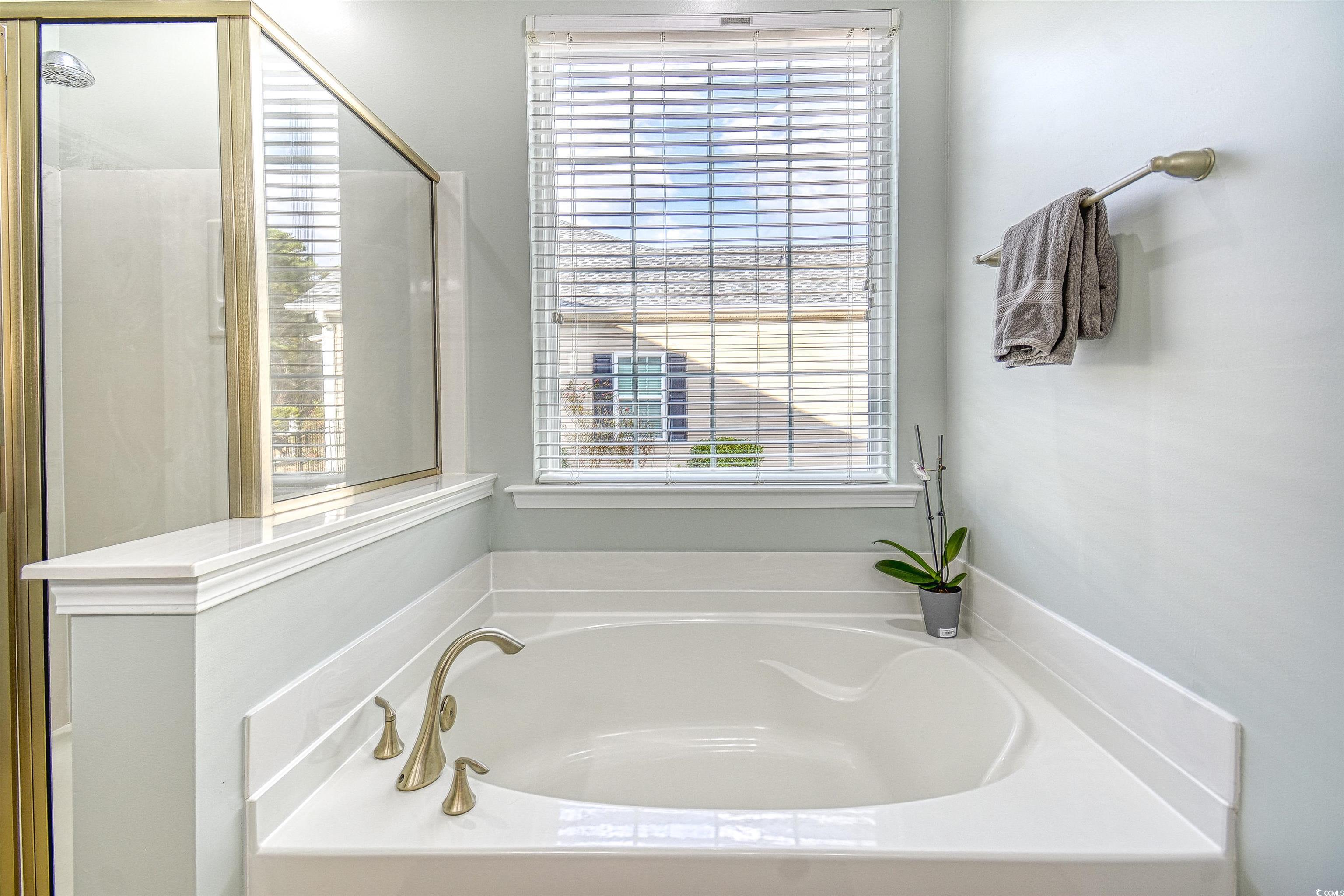 293 Ridge Point Drive Conway, SC 29526 - Photo 10 of 36 Bathroom featuring plus walk in shower