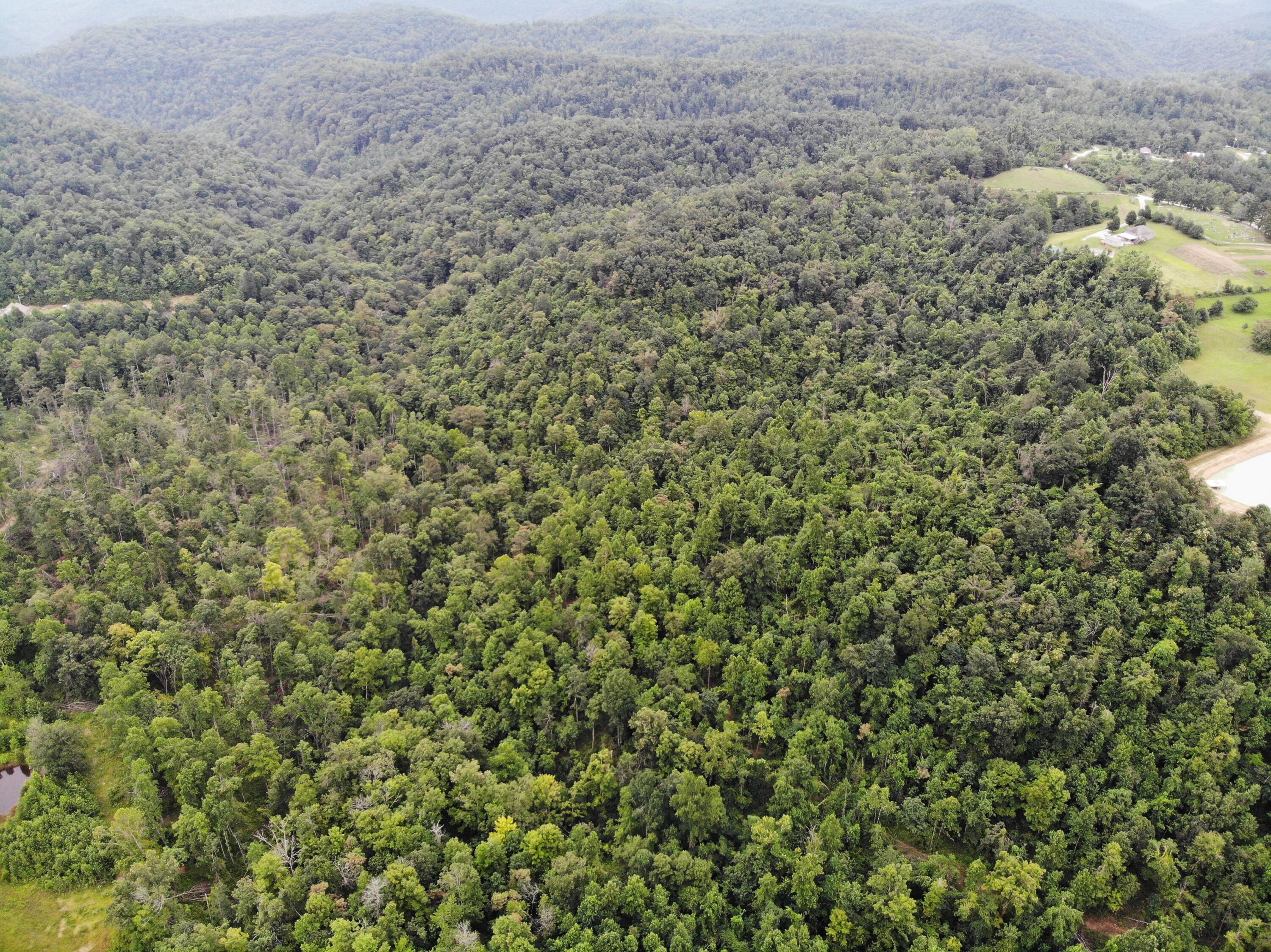 9015 McKee Road Irvine, KY 40336 - Photo 29 of 33 DJI_0975