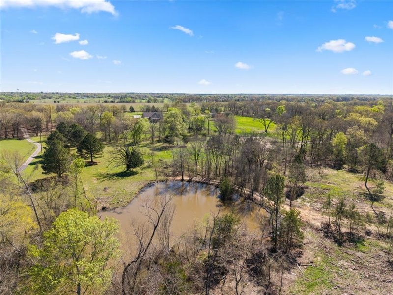 3115 Rains County Road 2610 Alba, TX 75410 - Photo 42 of 50