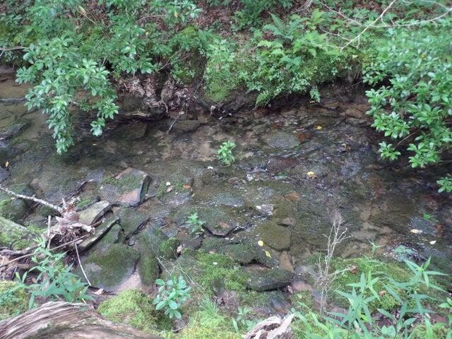 100 Summer City Road Evensville, TN 37332 - Photo 2 of 33 creek