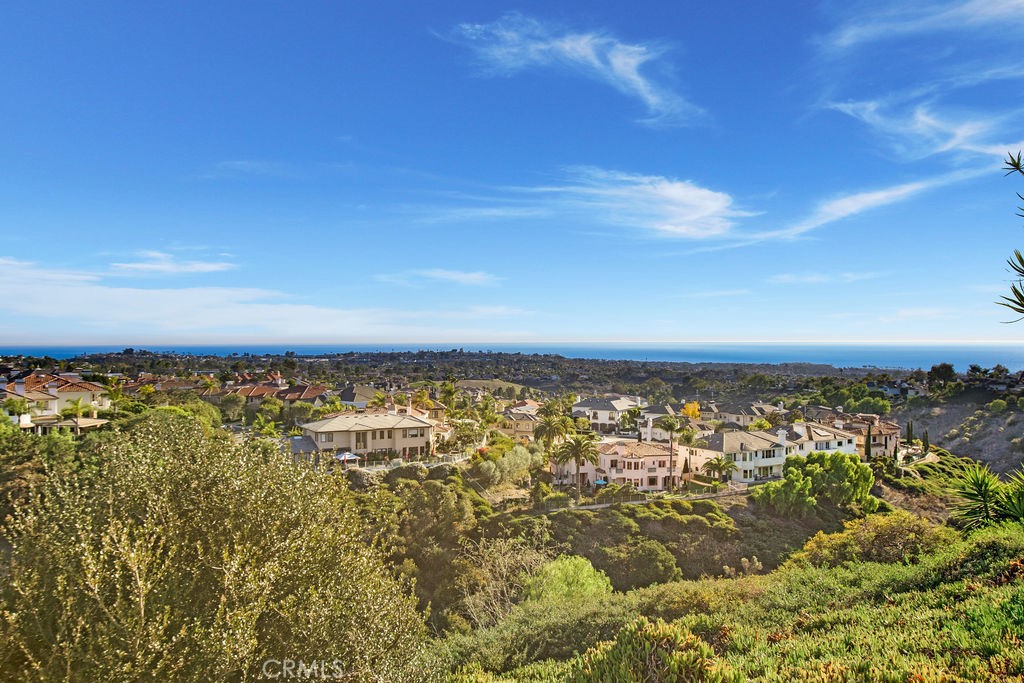 22 Callender Court Laguna Niguel, CA 92677 - Photo 46 of 67