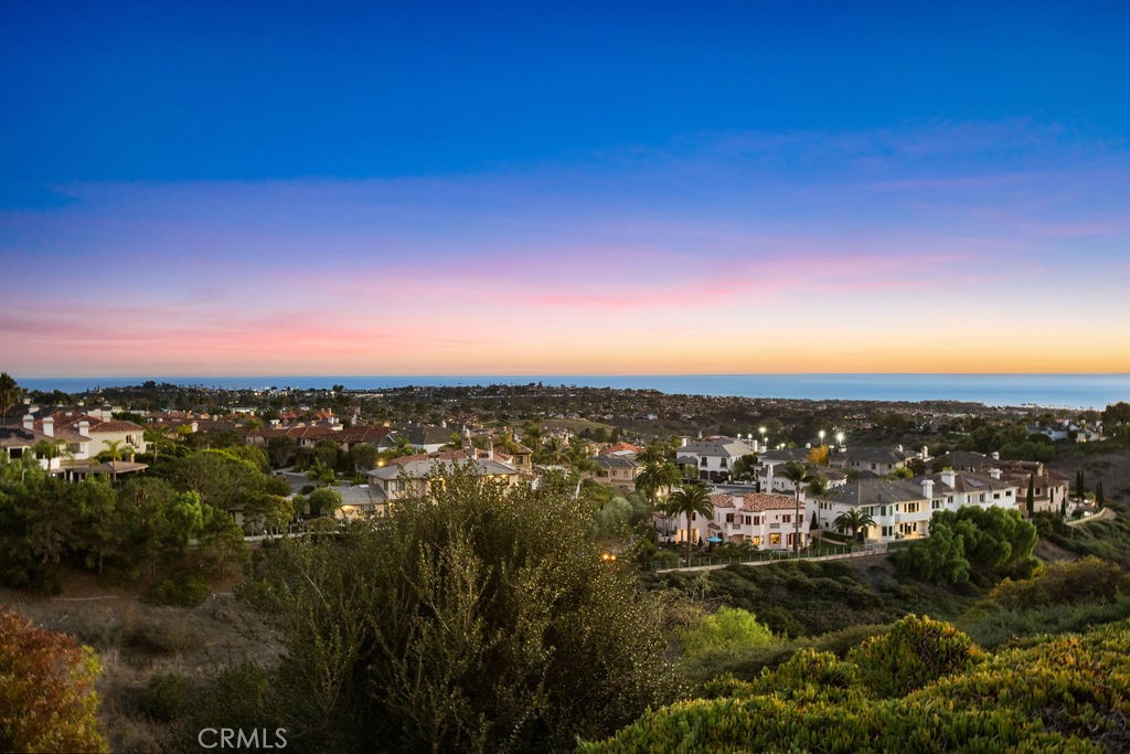 22 Callender Court Laguna Niguel, CA 92677 - Photo 57 of 67 a view of a city