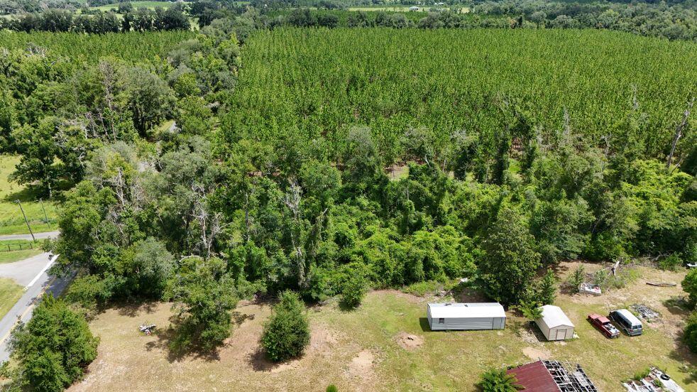 0 185th Road Live Oak, FL 32060 - Photo 9 of 22 10