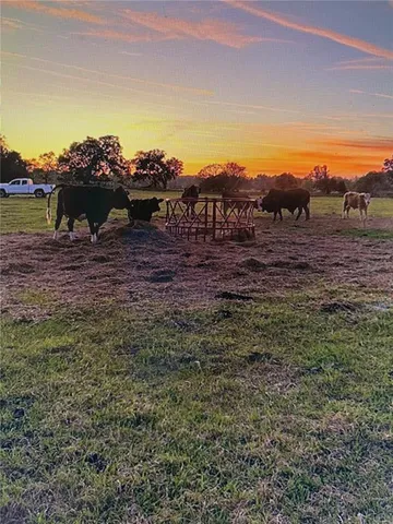 an aerial view of a house with a yard and lake view