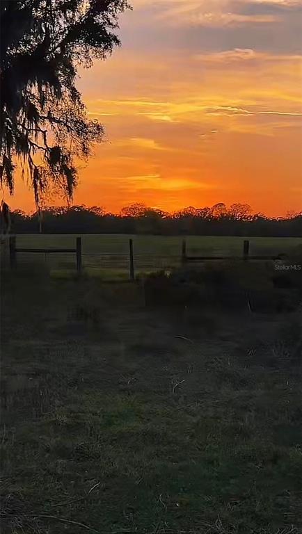 3650 Northeast 95th Street Anthony, FL 32617 - Photo 7 of 7 a view of outdoor space and yard