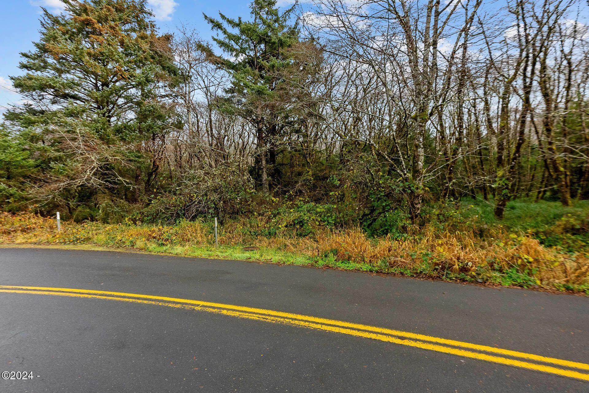 8500 East Beach Road Arch Cape, OR 97102 - Photo 18 of 19 Lot on E Beach Rd