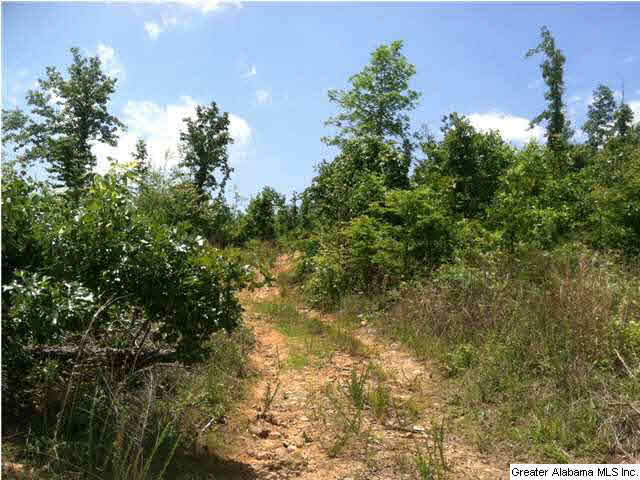 21 County Road, Unit 137 Ashville, AL 35953 - Photo 1 of 5