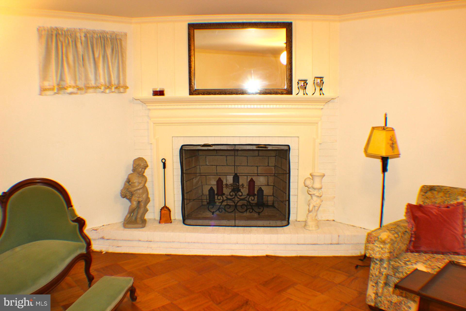 279 Dover Road Warrenton, VA 20186 - Photo 22 of 30 Living Room Woodburning FPL