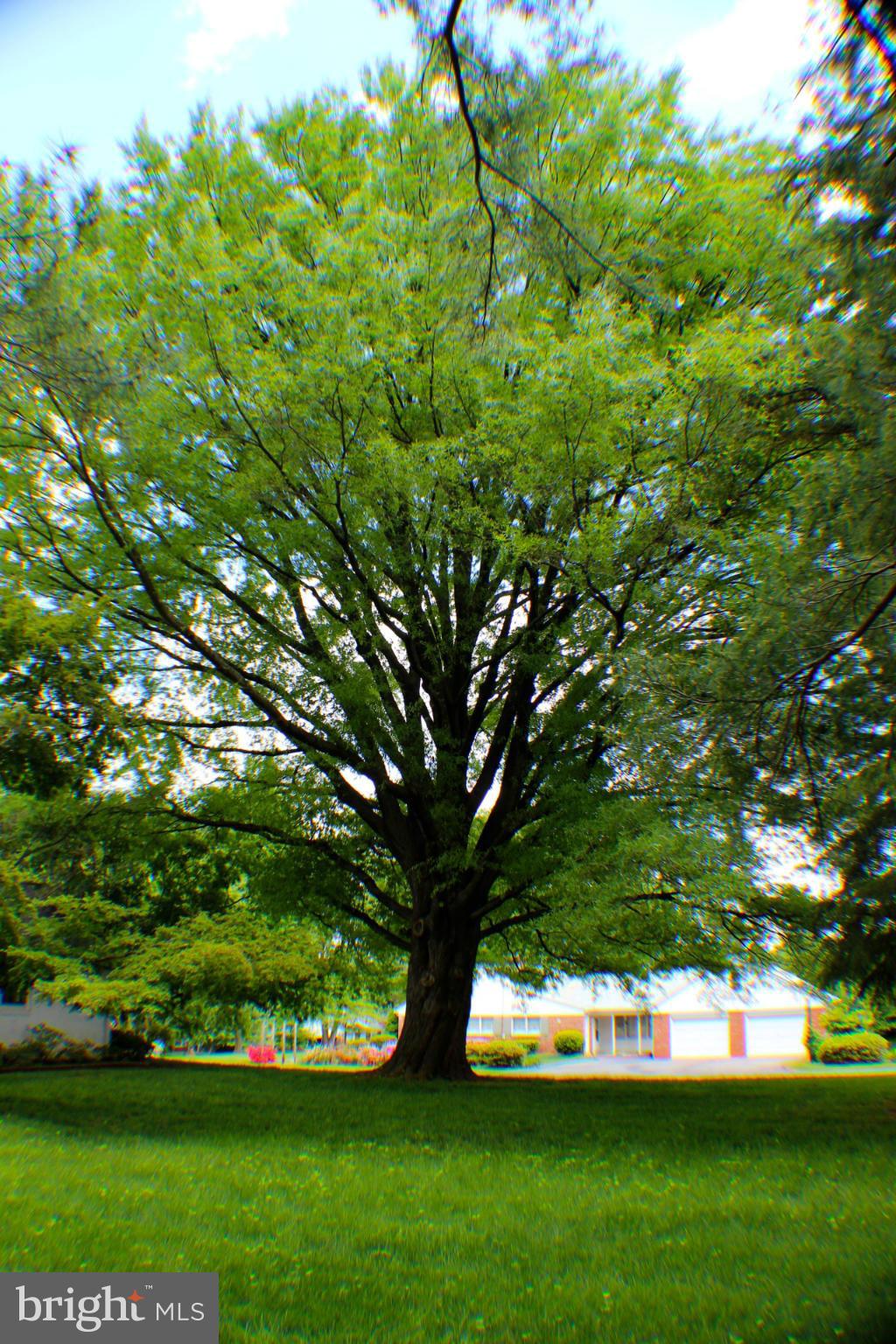 279 Dover Road Warrenton, VA 20186 - Photo 30 of 30 Exterior (Rear)