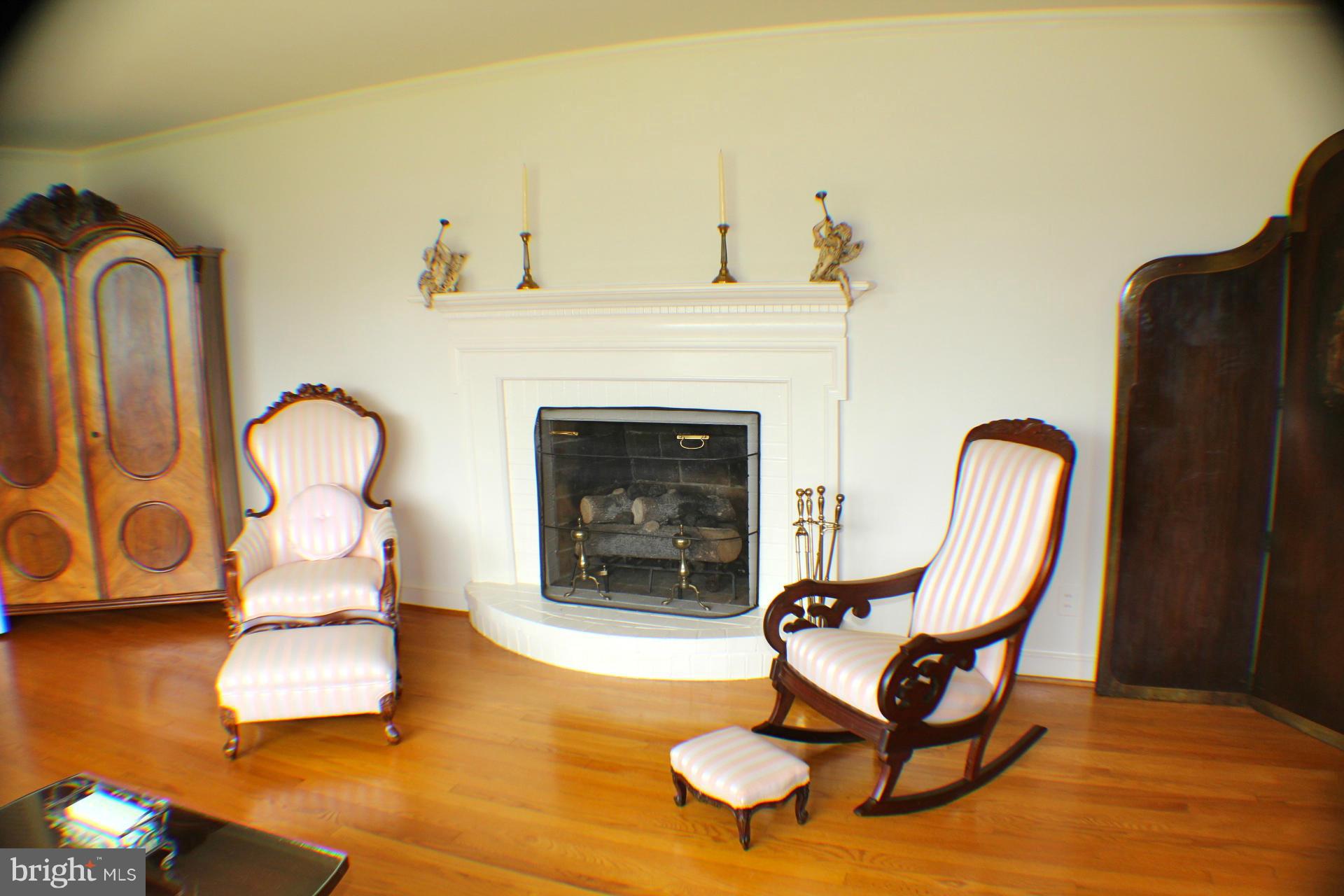 279 Dover Road Warrenton, VA 20186 - Photo 6 of 30 Family Room FPL in Lower Level
