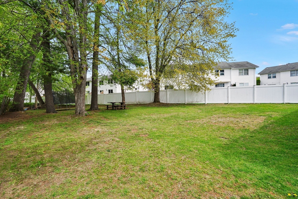 94 Cora Avenue Chicopee, MA 01013 - Photo 4 of 41 a view of a tree in front of a house