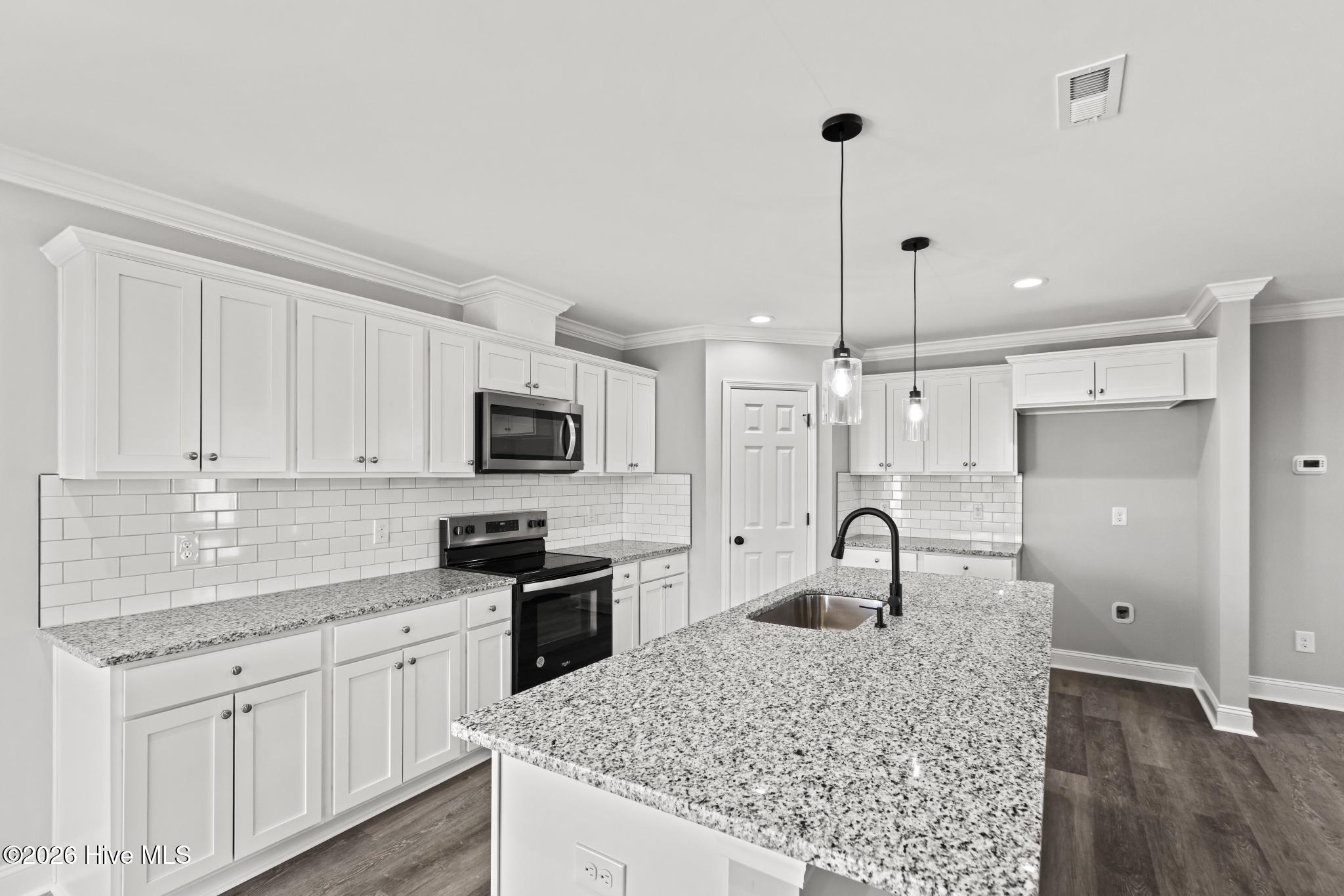 3052 Condor Court Deep Run, NC 28525 - Photo 10 of 35 425A0899