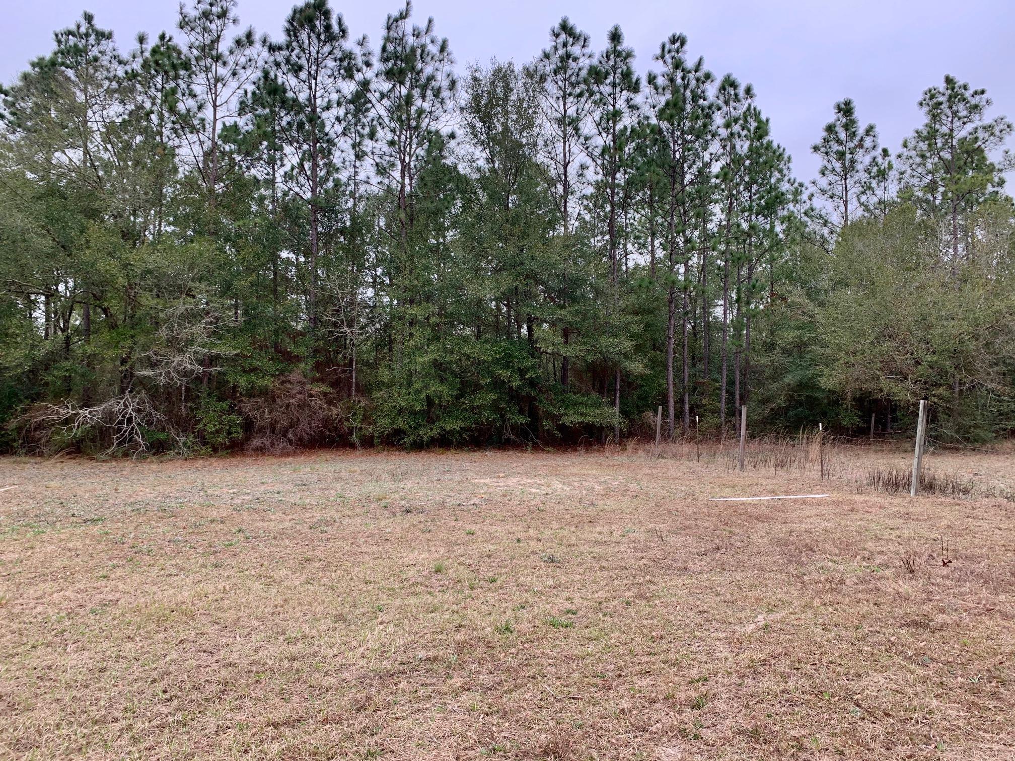 4520 Bryant Bridge Road Holt, FL 32564 - Photo 8 of 26 Gallery Image 8