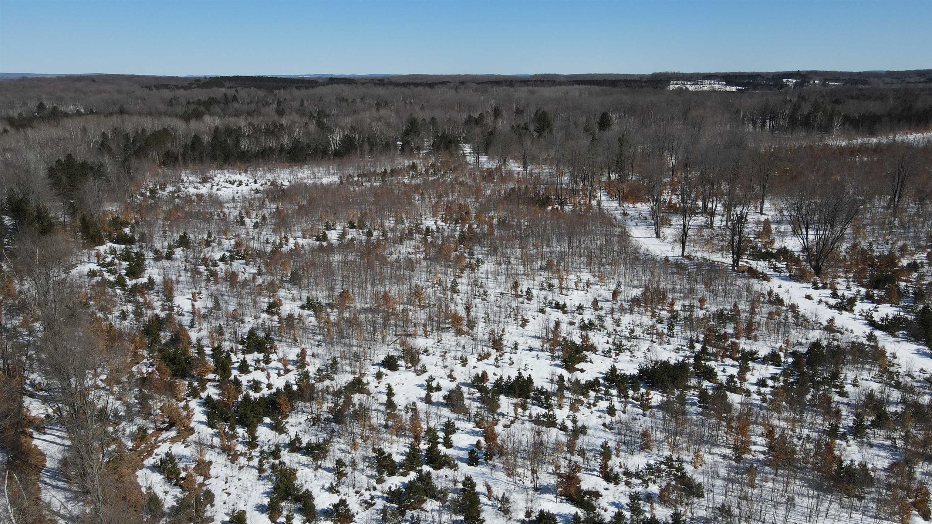 Southeast Campbell Road Southeast Kalkaska, MI 49646 - Photo 22 of 23