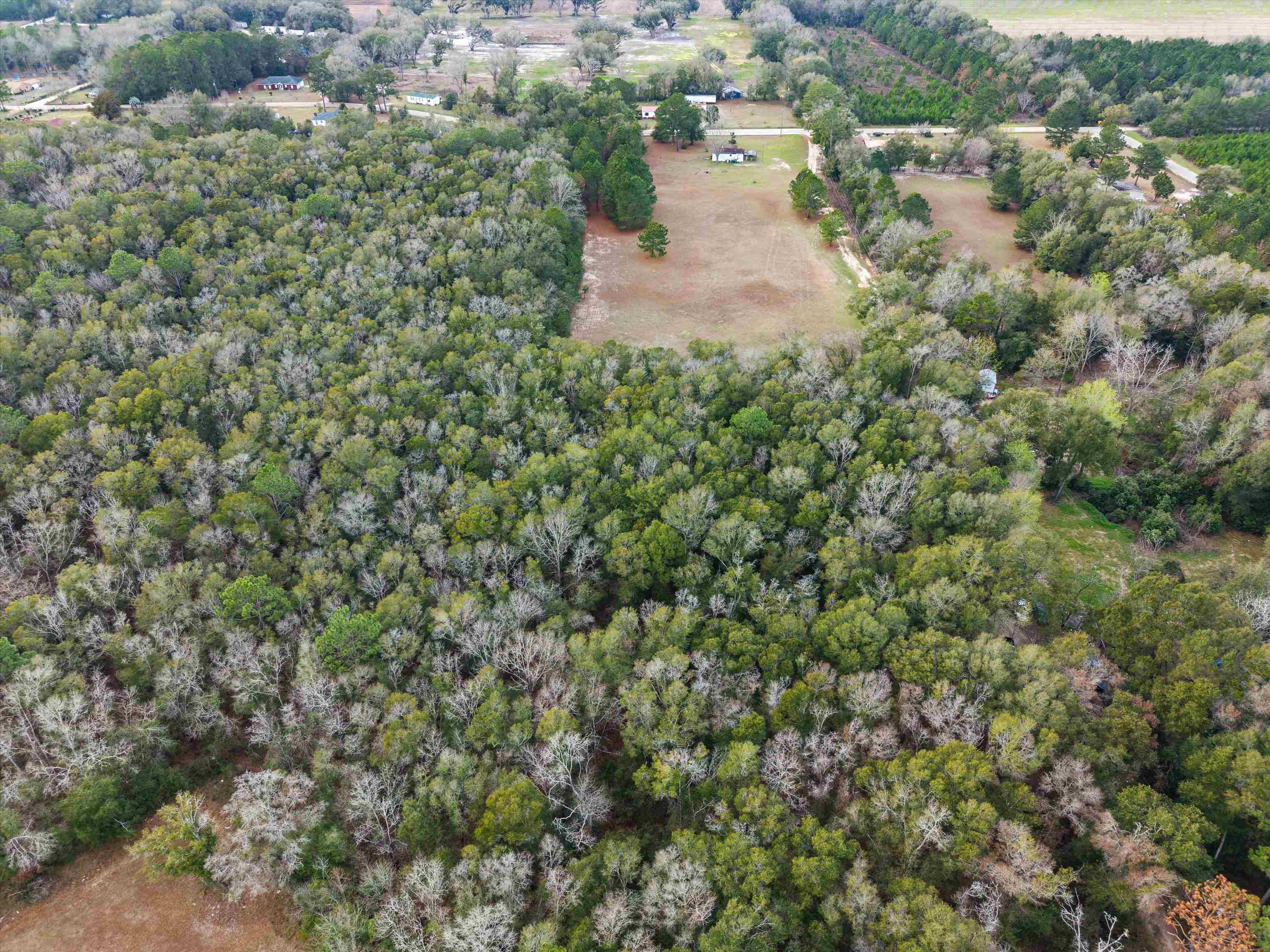 1760 Mt Hosey Church Road Quincy, FL 32352 - Photo 25 of 30