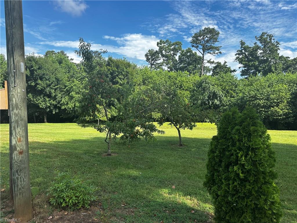 219 Thurmond Road Thurmond, NC 28683 - Photo 9 of 28