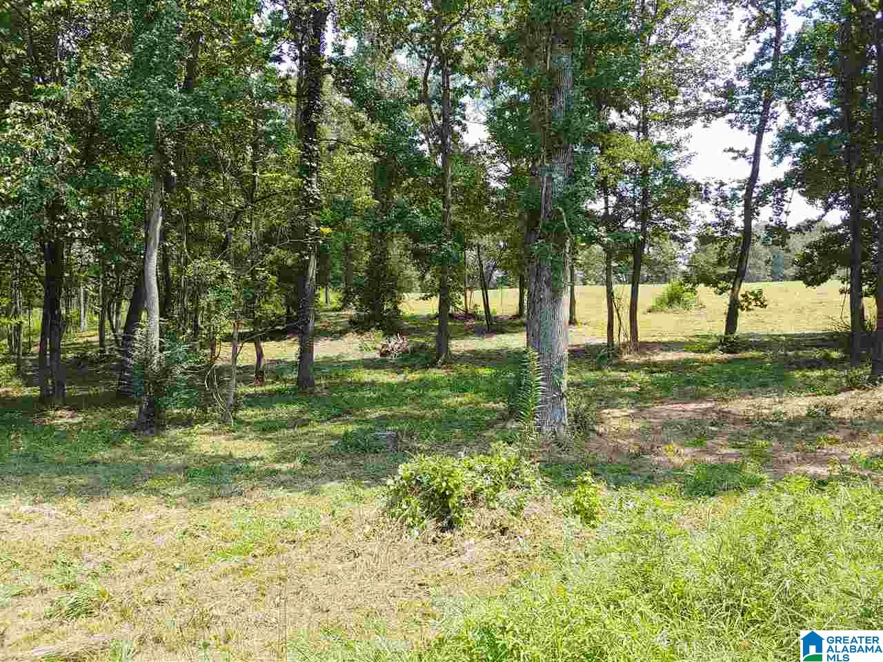 Lot 4 County Road 986, Unit 4 Montevallo, AL 35115 - Photo 4 of 5