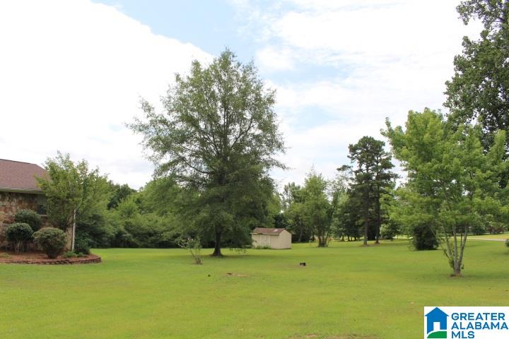 746 Grandview Trail Warrior, AL 35180 - Photo 2 of 36