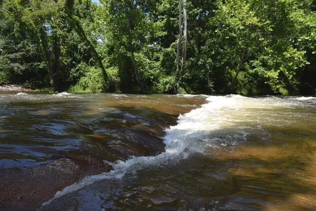 $1,800 | 1500 River Mill Drive, Unit 309, Wake Forest, NC 27587